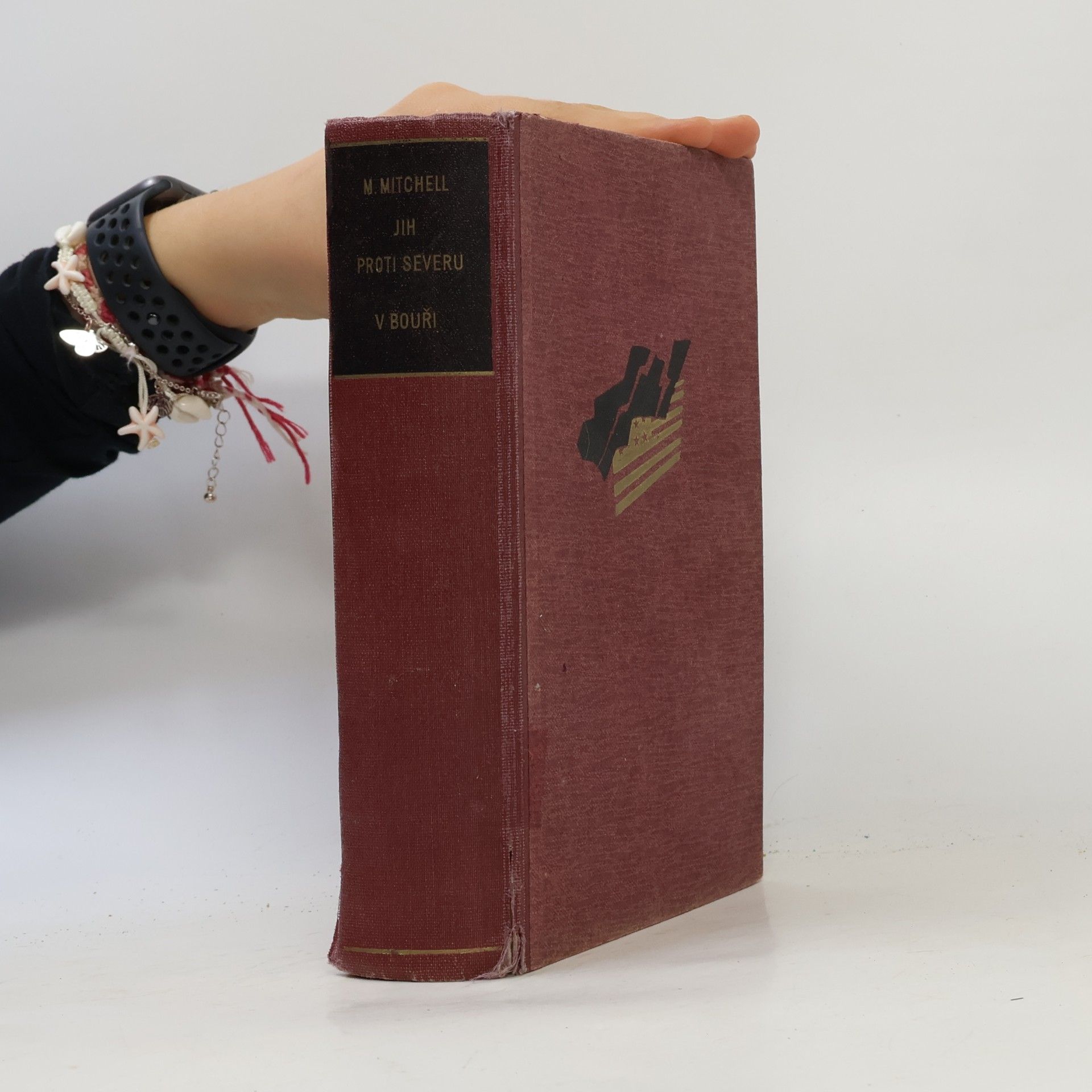 Margaret Mitchell Jih proti severu 1