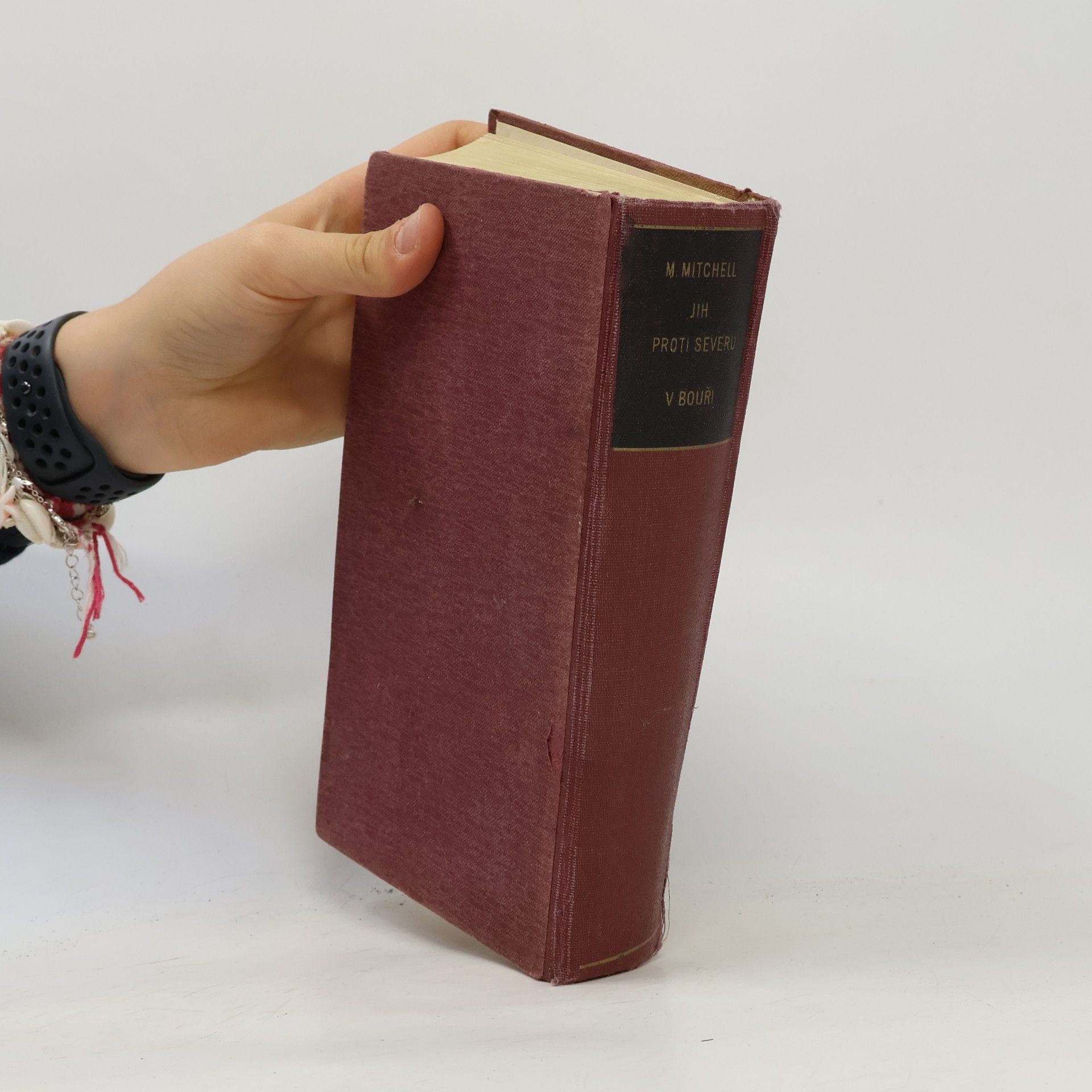Margaret Mitchell Jih proti severu 1