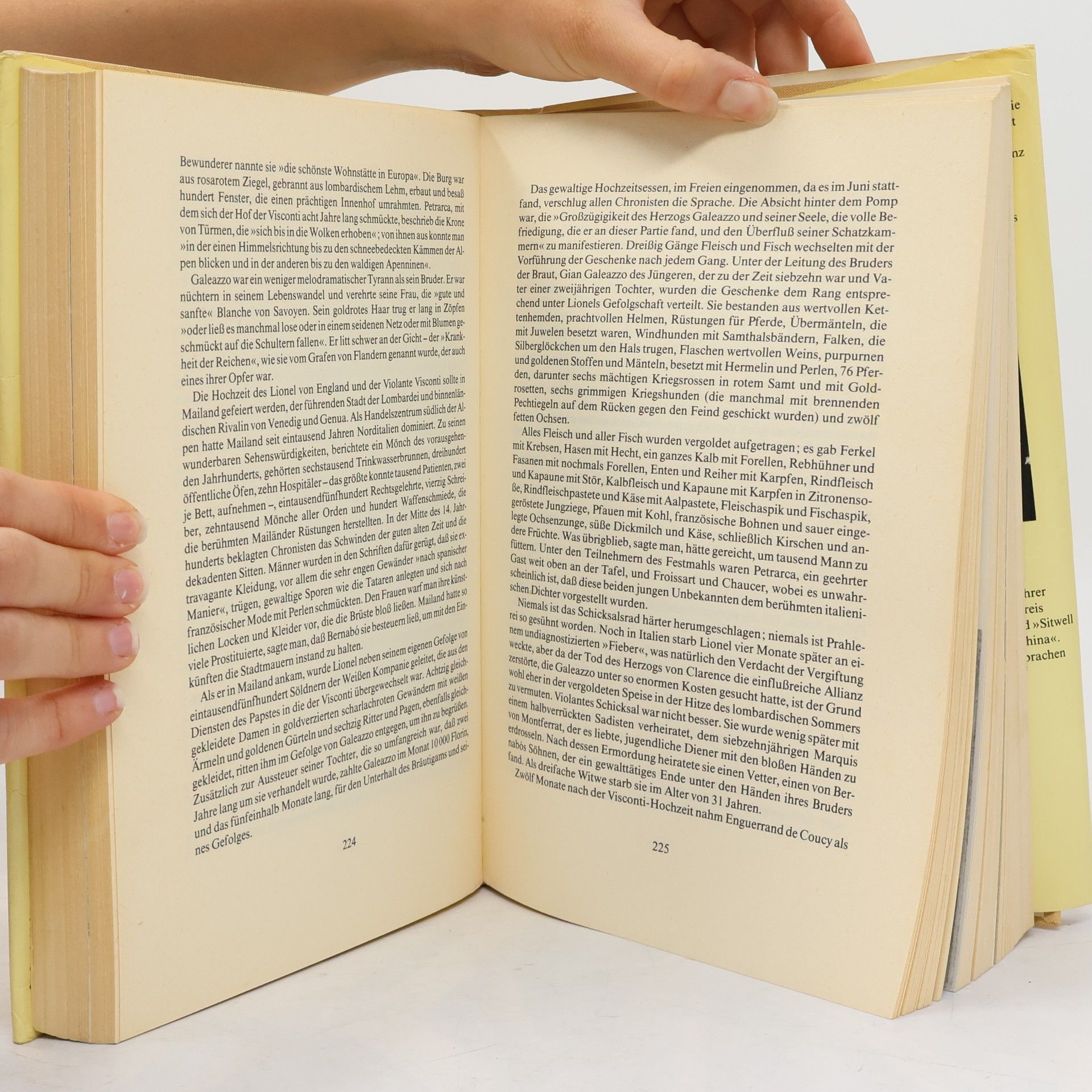 Barbara Tuchman Der ferne Spiegel