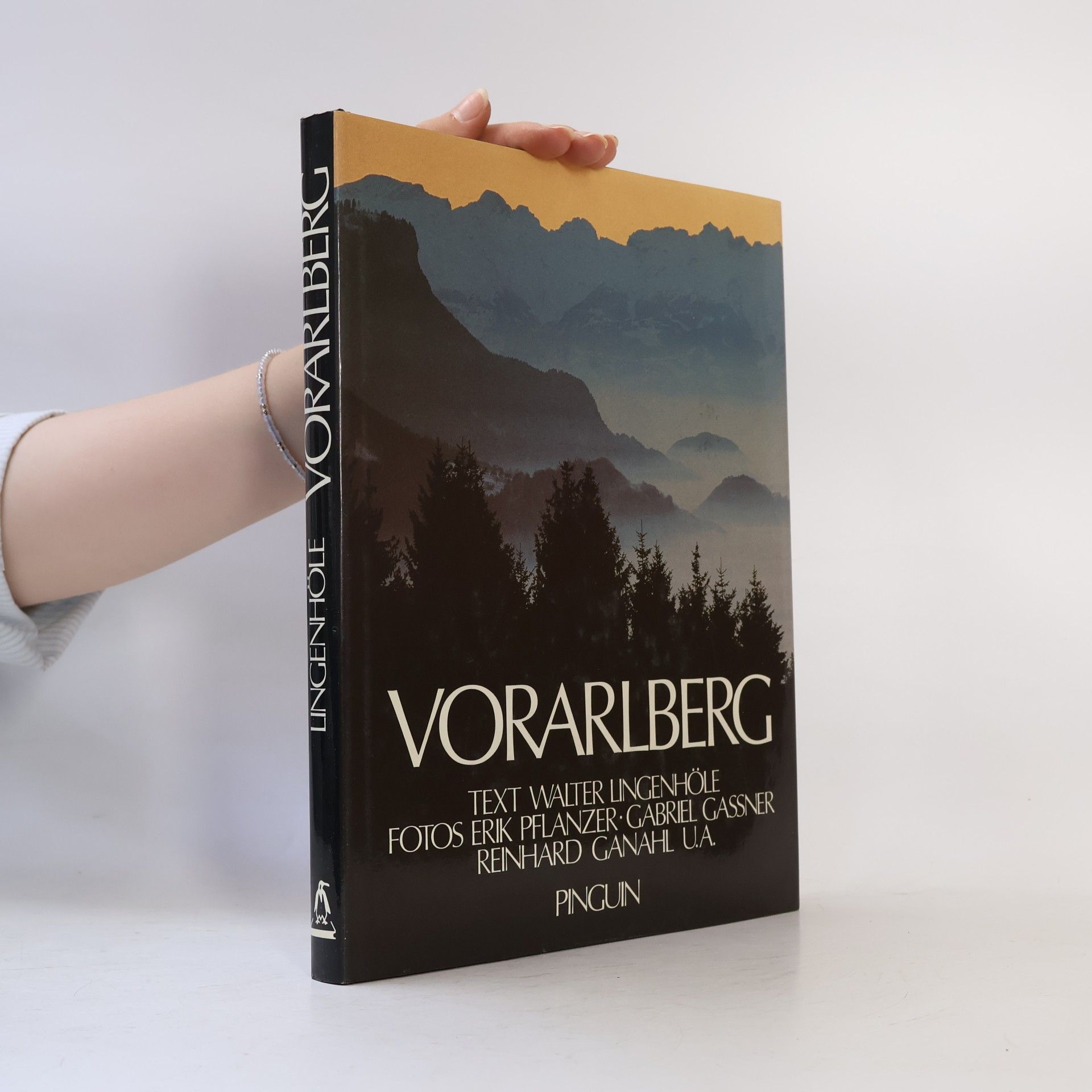 Walter Lingenhöle Vorarlberg