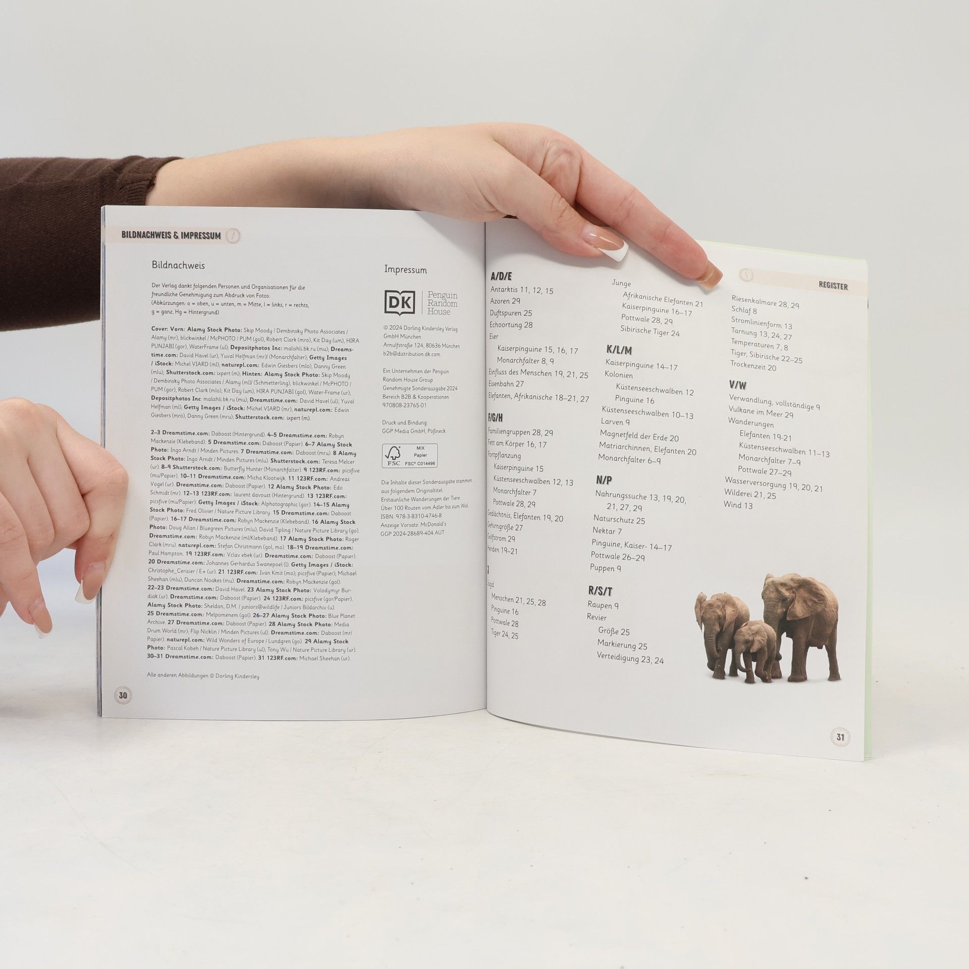 Philippa Forrester Erstaunliche Wanderungen der Tiere