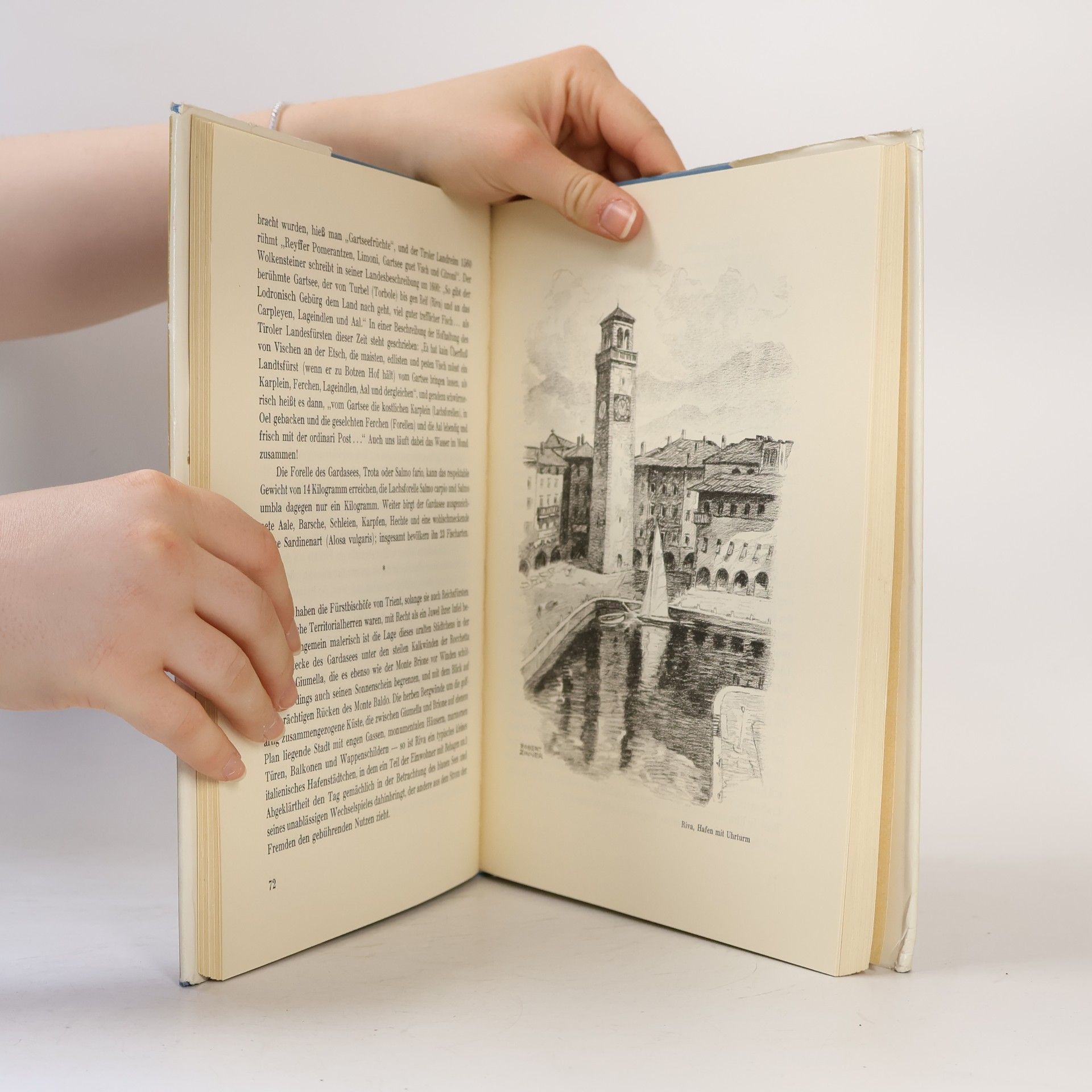Robert Zinner Das Buch vom Gardasee. Landschaft-Kunst-Kultur