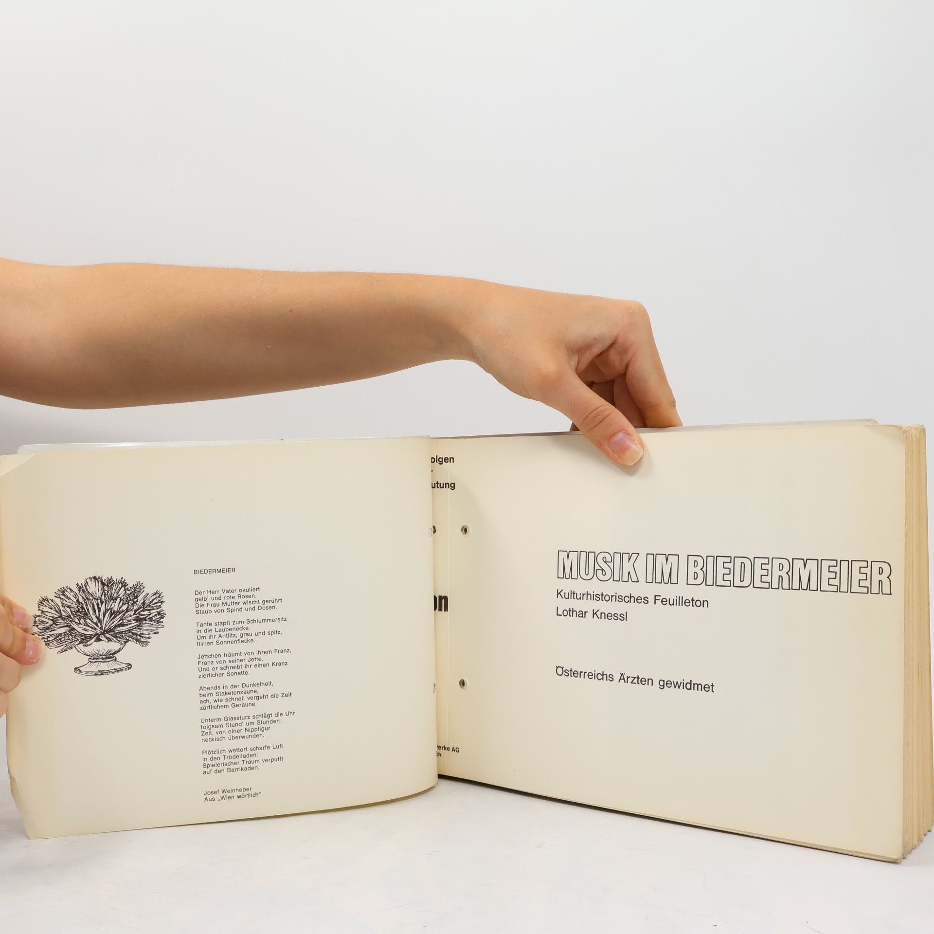 Lothar Knessl Musik im Biedermeier