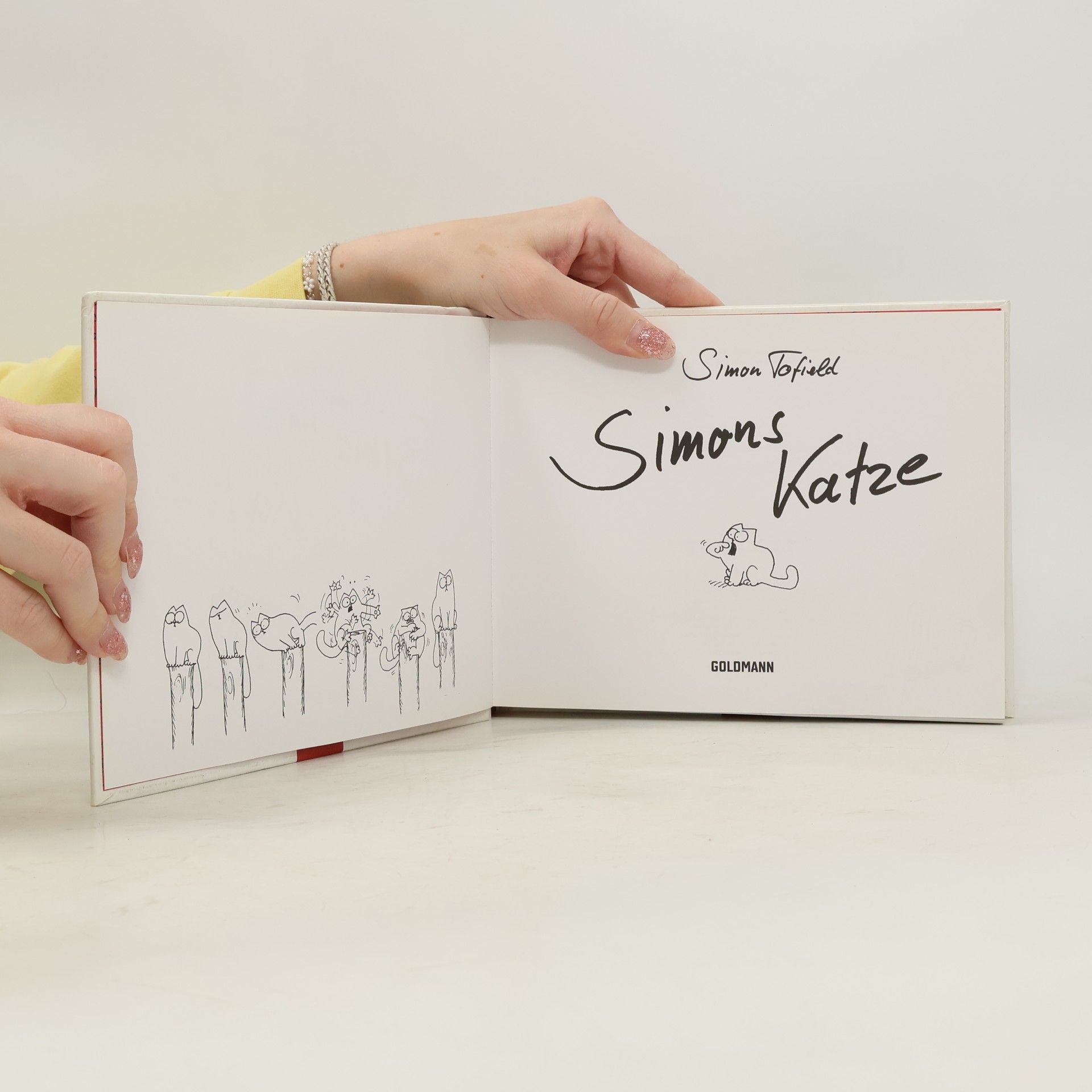 Simon Tofield Simons Katze