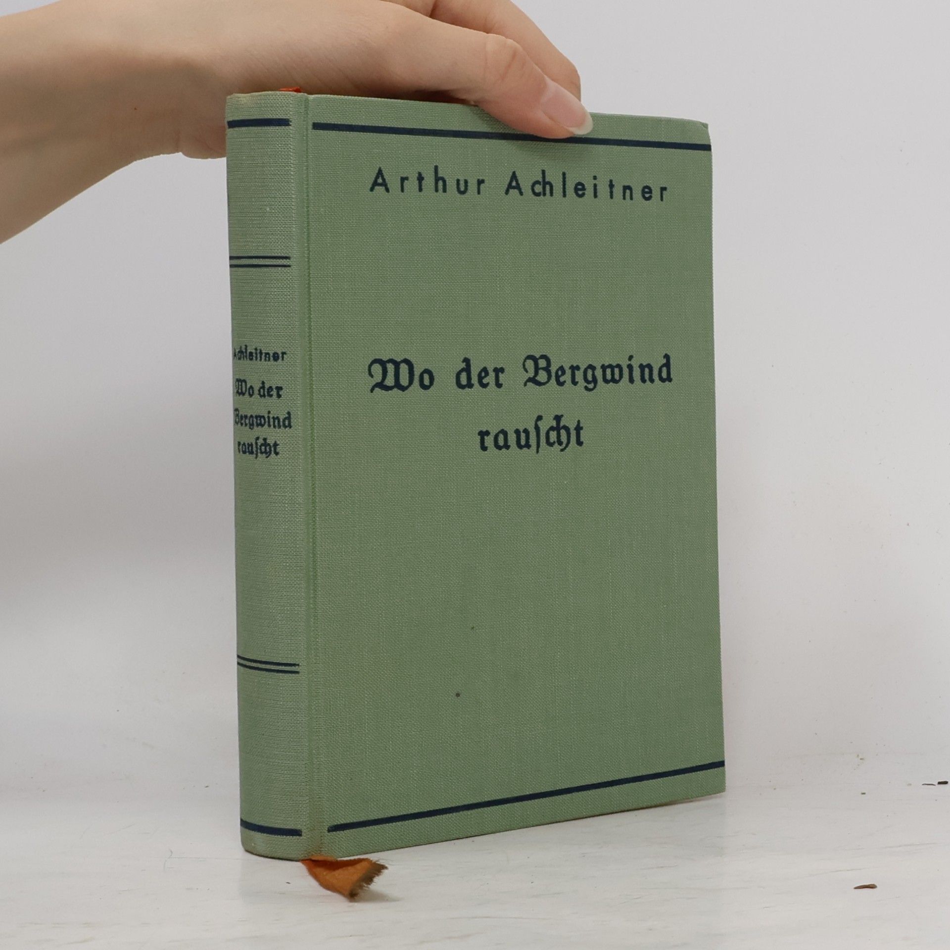 Wo der Bergwind rauscht: Erzählungen aus den Alpen
