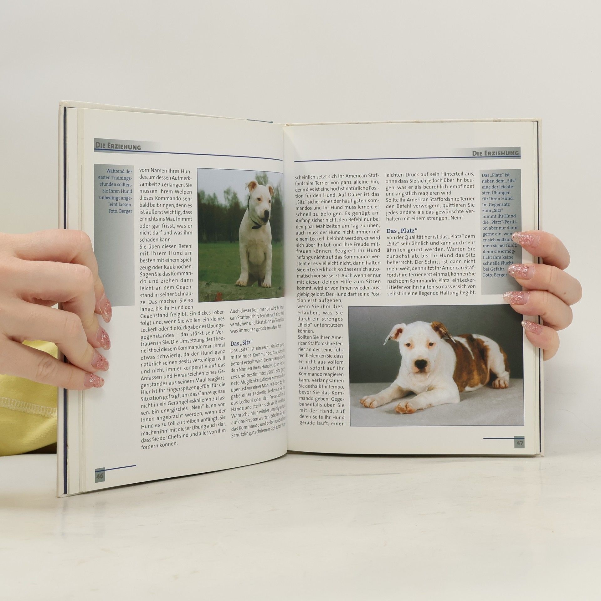 Robert M. Williams Mein gesunder American Staffordshire Terrier