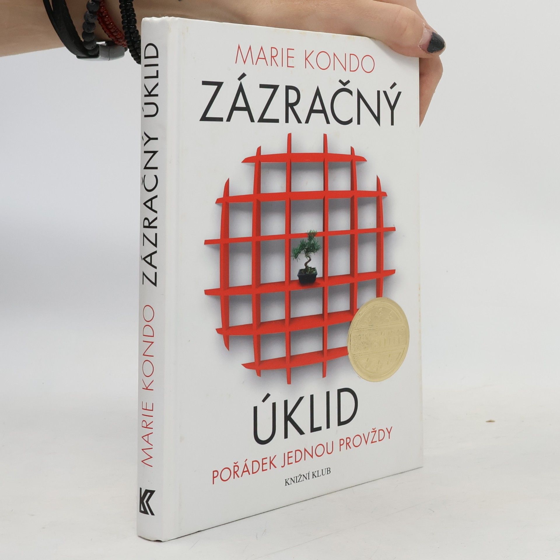 Zázračný úklid