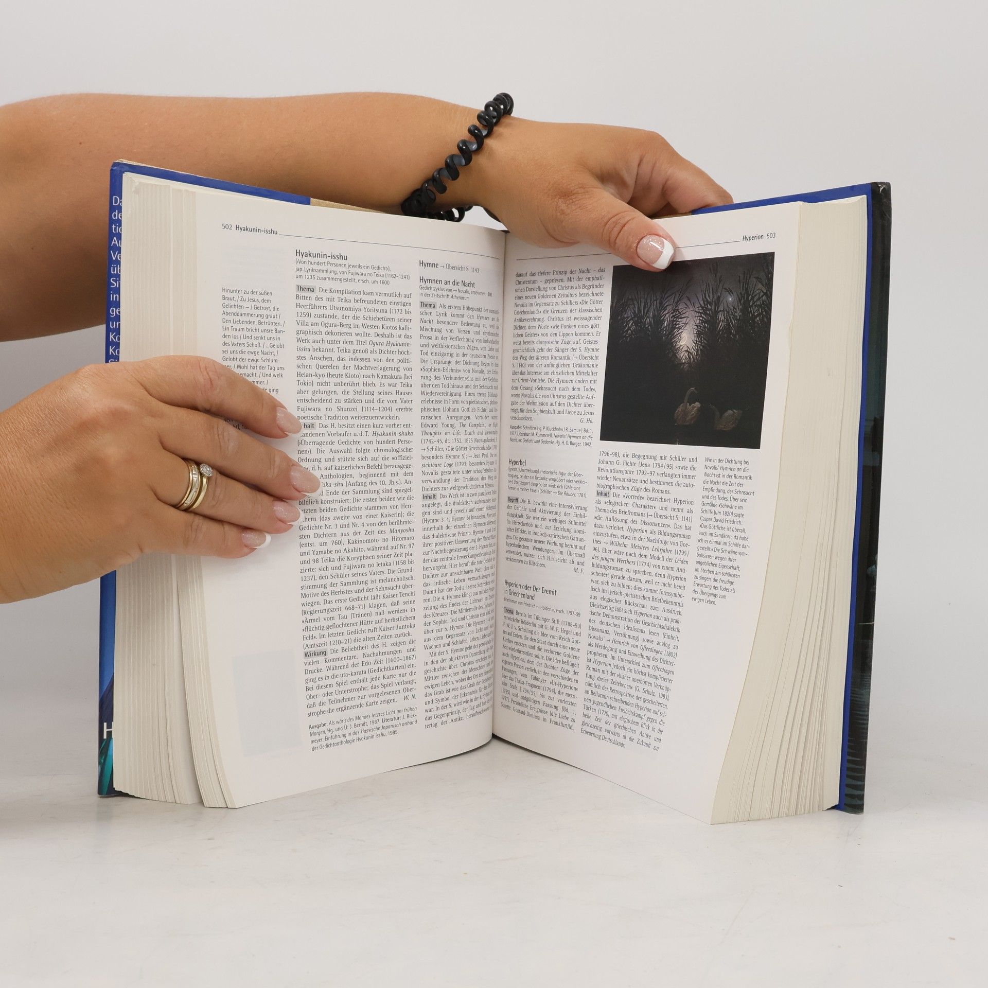 Heidi Wetzel Harenberg Literaturlexikon