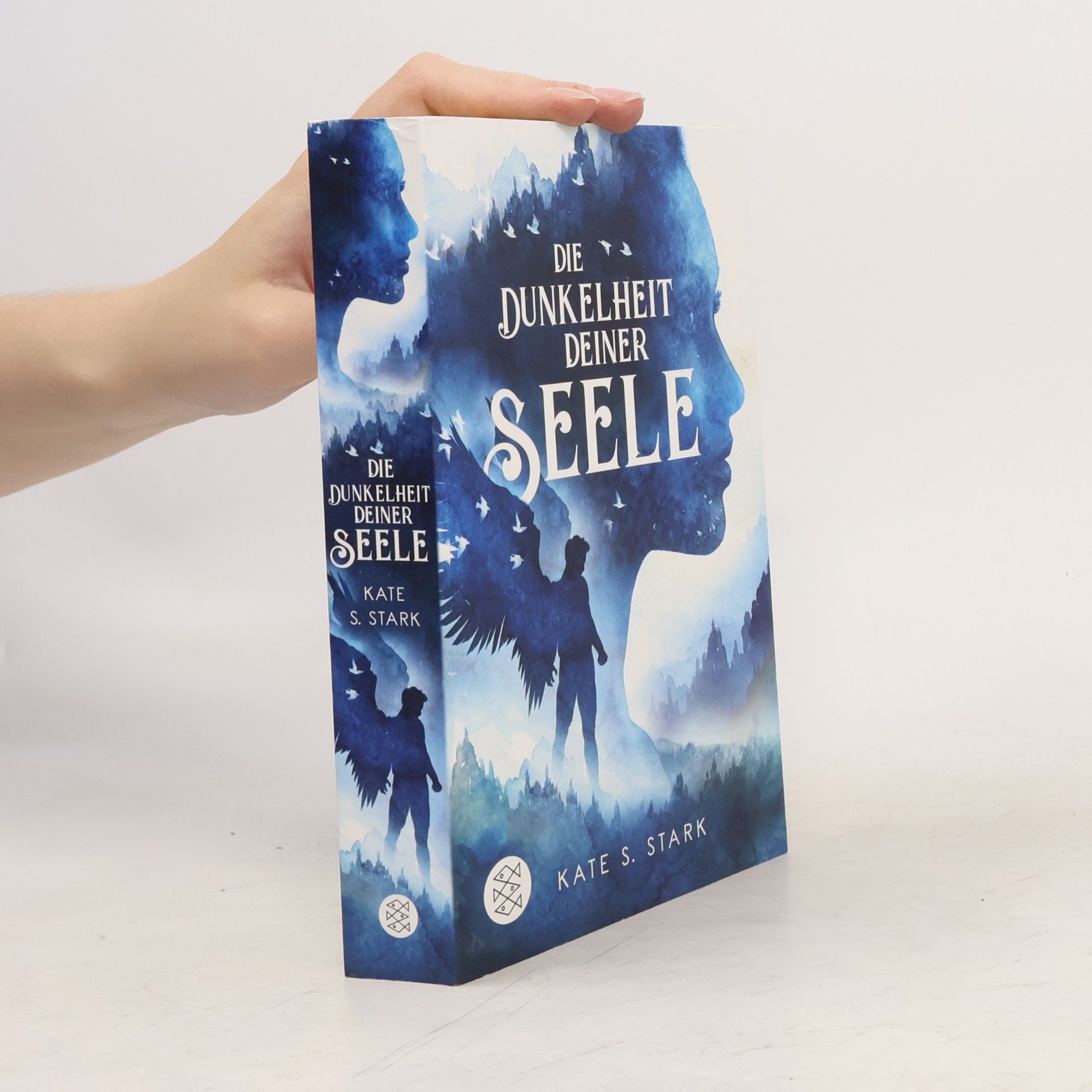 Kate S. Stark Die Dunkelheit deiner Seele