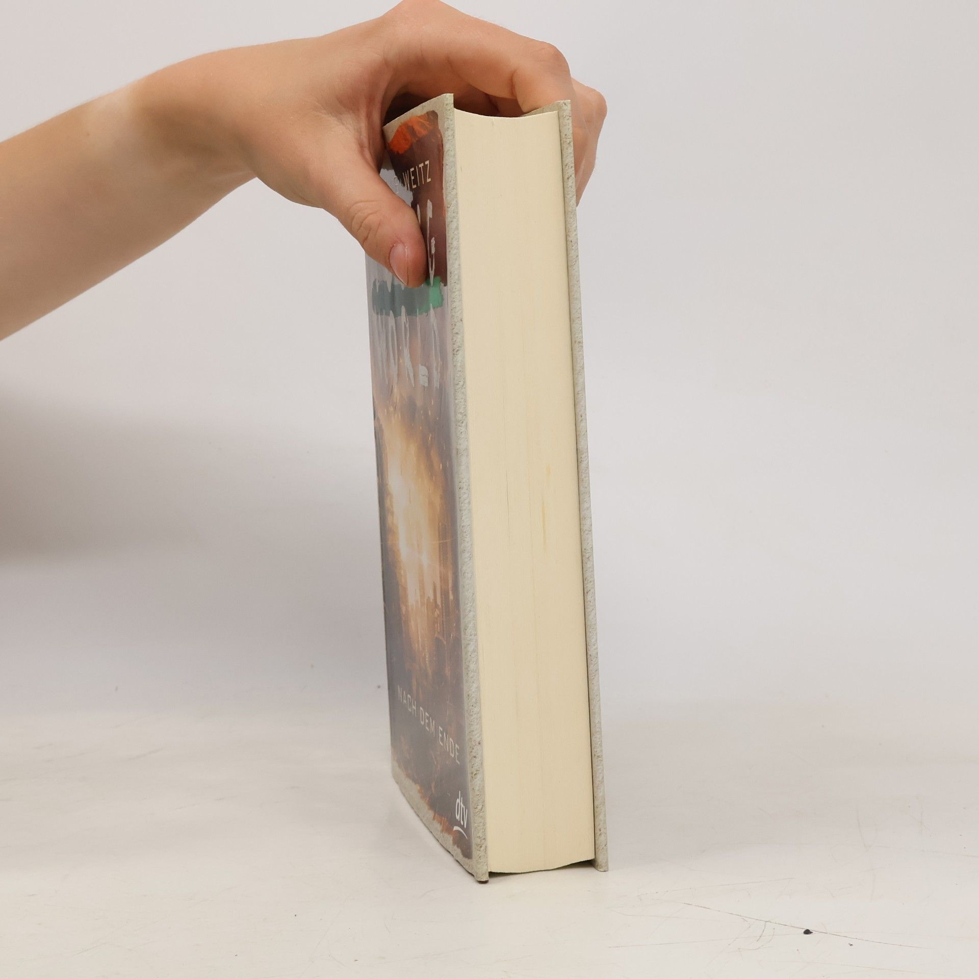 Chris Weitz Young World - nach dem Ende