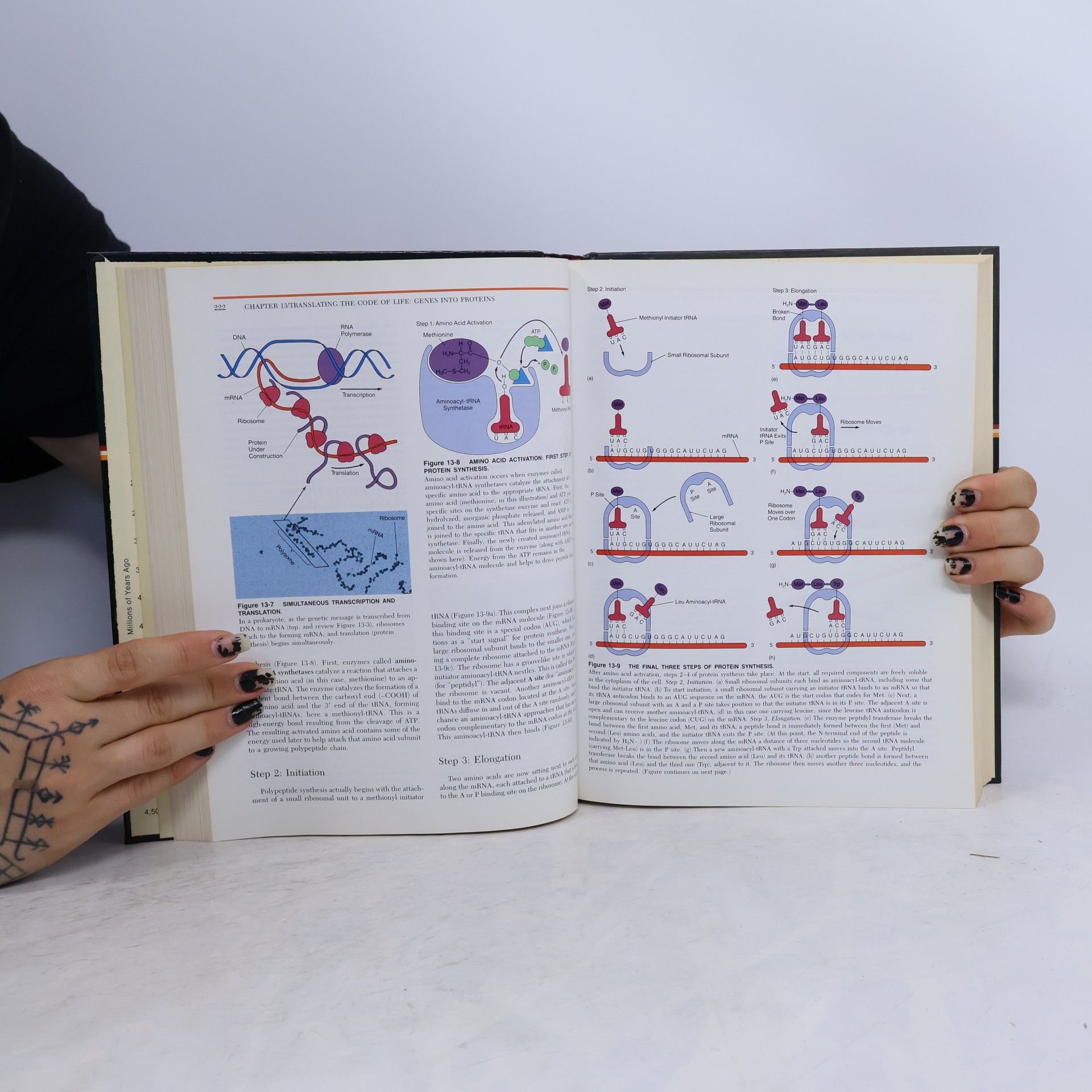Janet L. Hopson Essentials of biology
