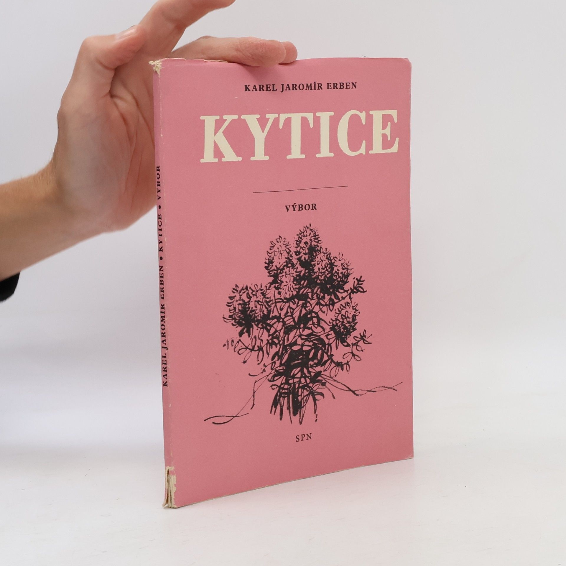 Karel Jaromír Erben Kytice