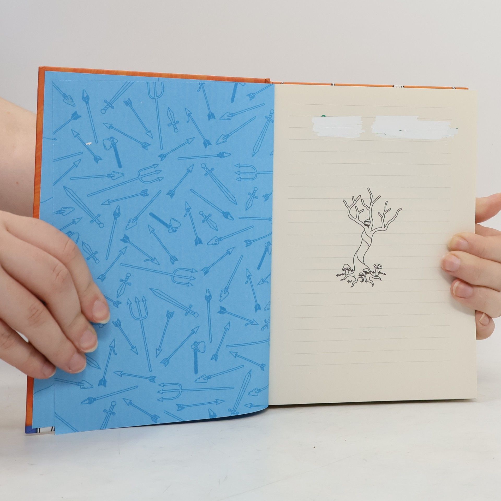 Jeff Kinney Rupert präsentiert. Ein echt wildes Abenteuer