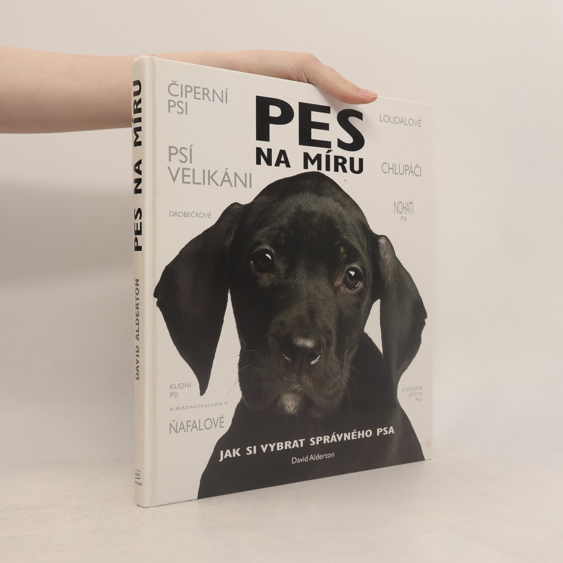 David Alderton Pes na míru. Jak si vybrat správného psa.