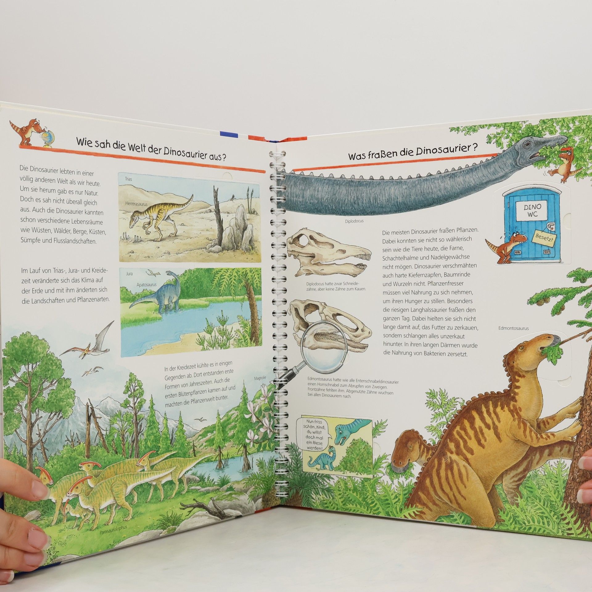 Autorenkollektiv Wir erforschen die Dinosaurier