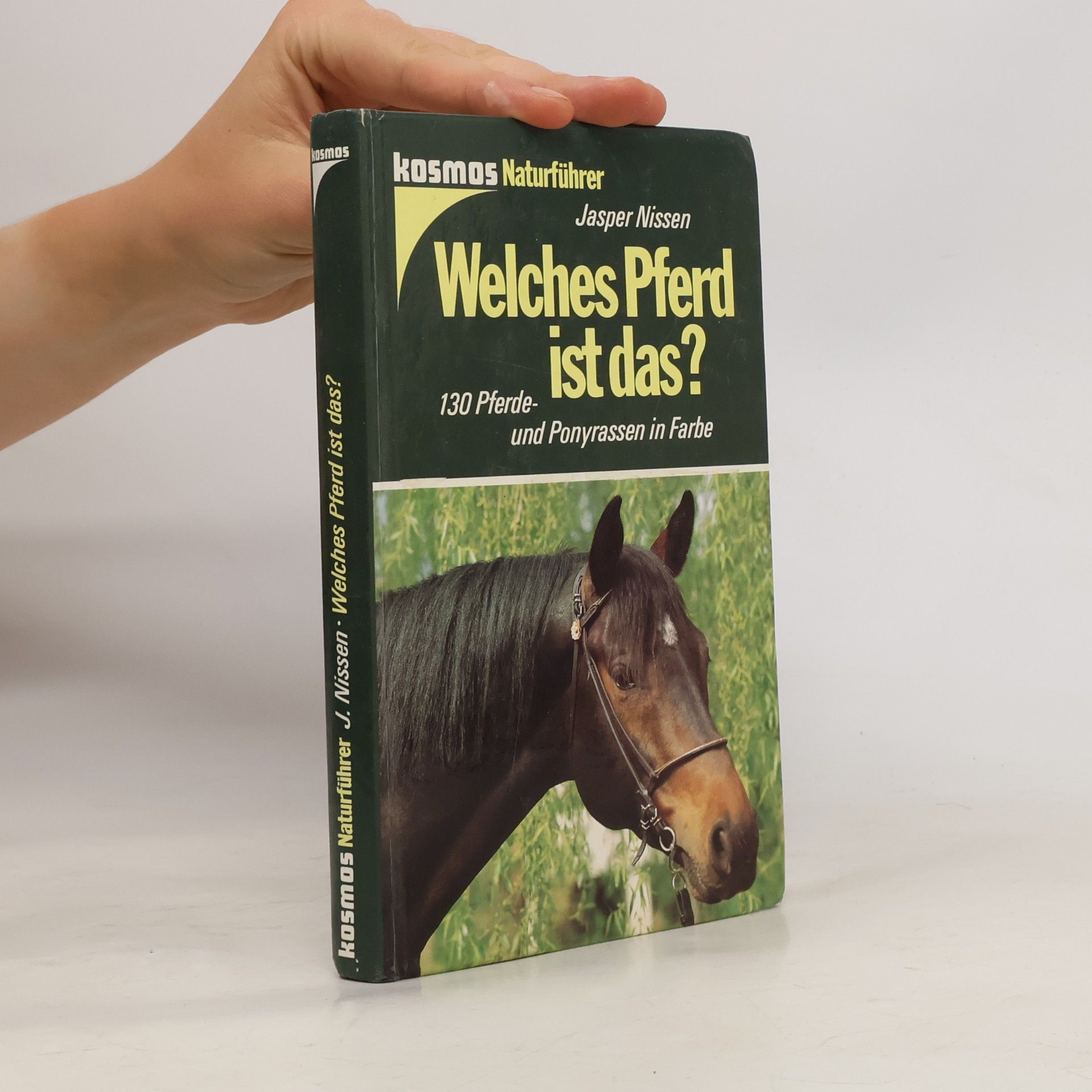 Jasper Nissen Welches Pferd ist das?