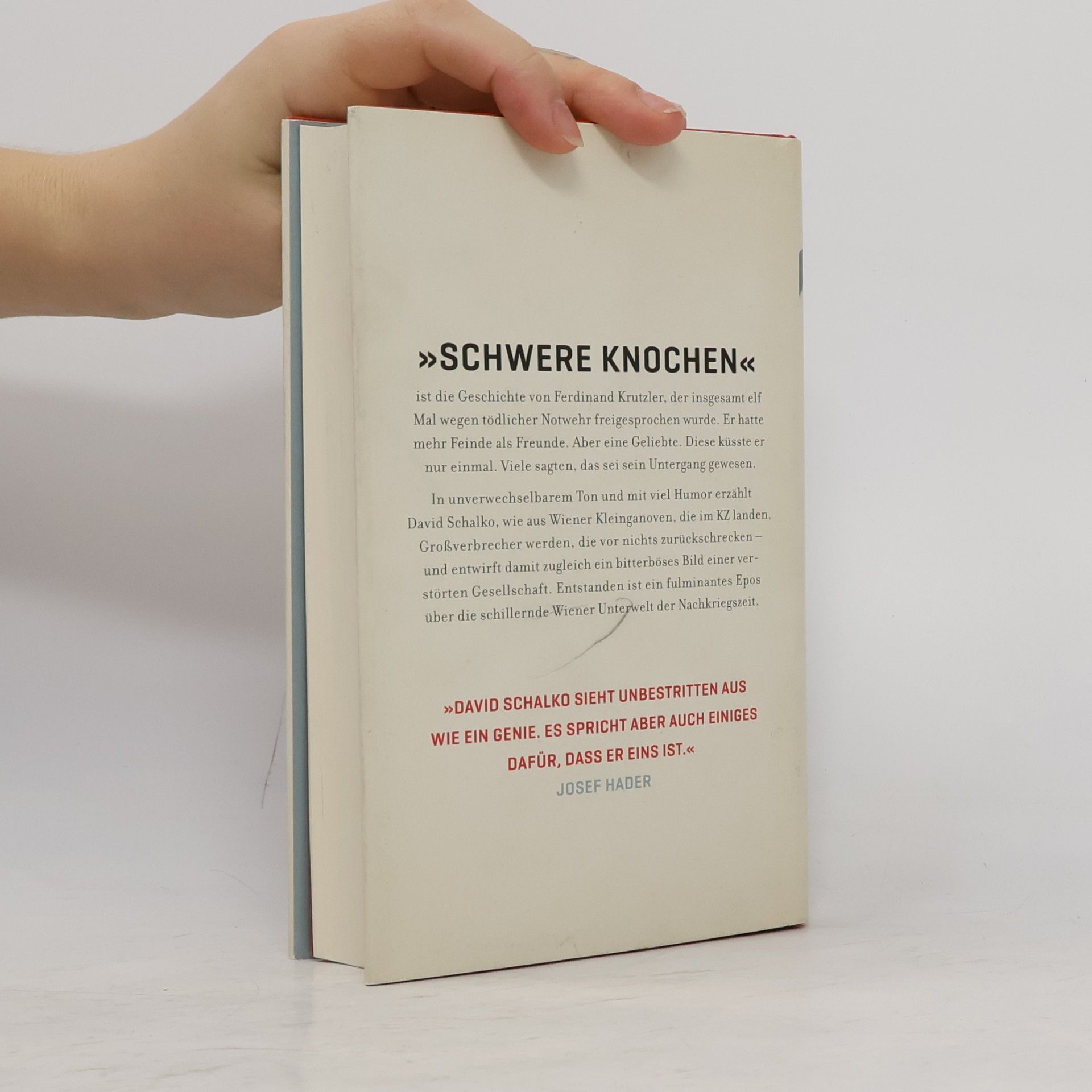 David Schalko Schwere Knochen
