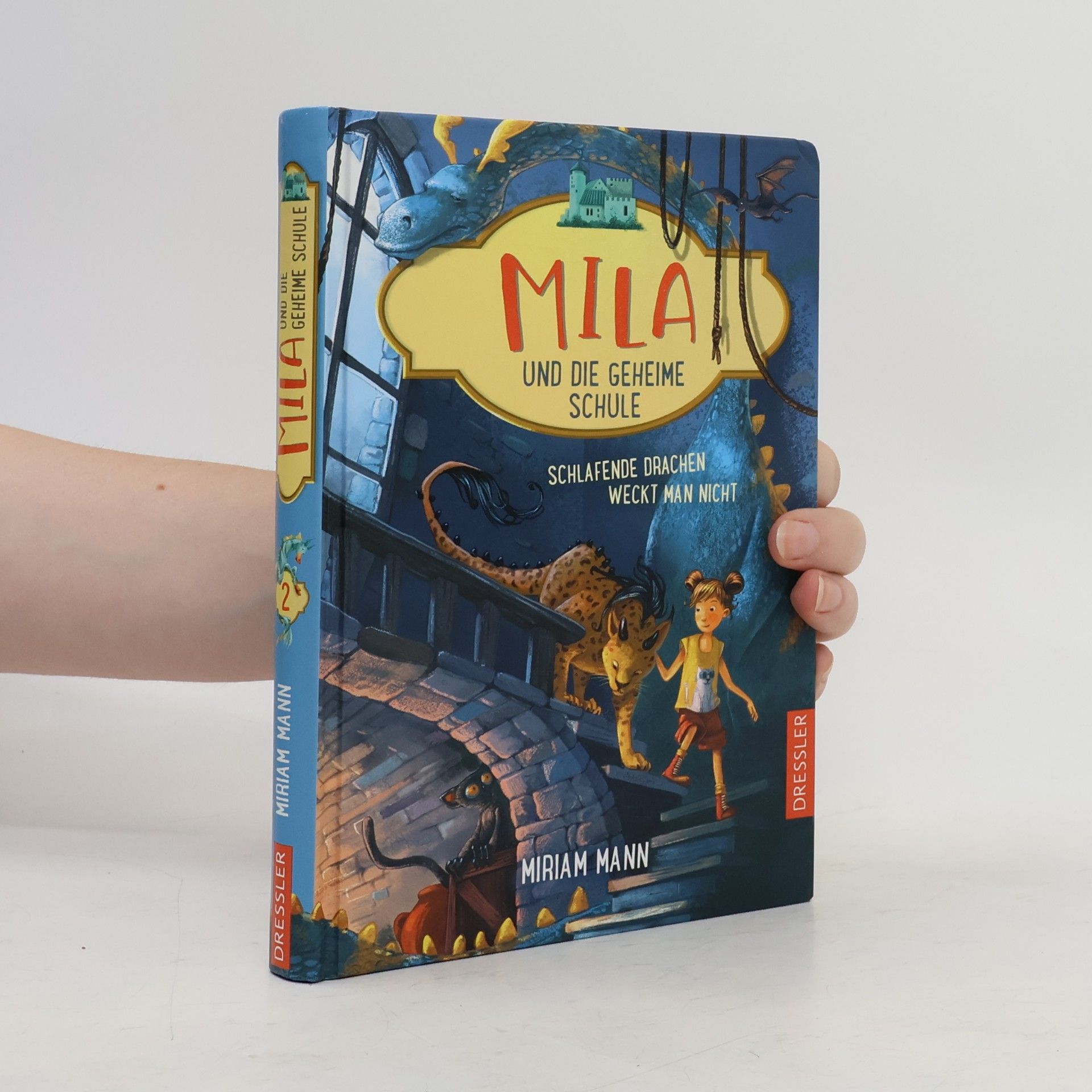 Miriam Mann Mila und die geheime Schule 2