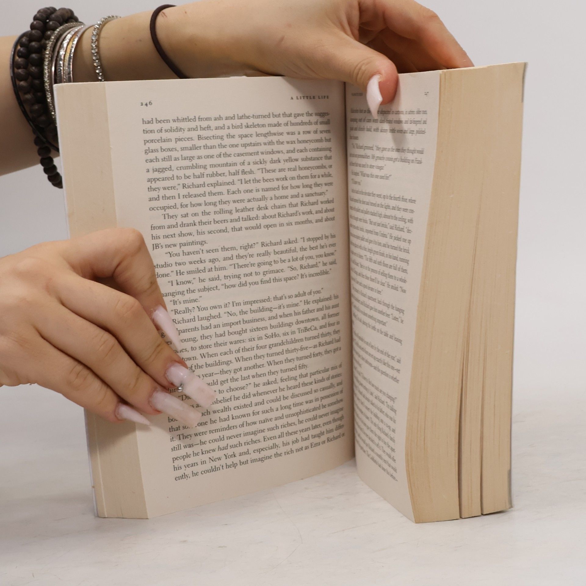 Hanya Yanagihara A Little Life