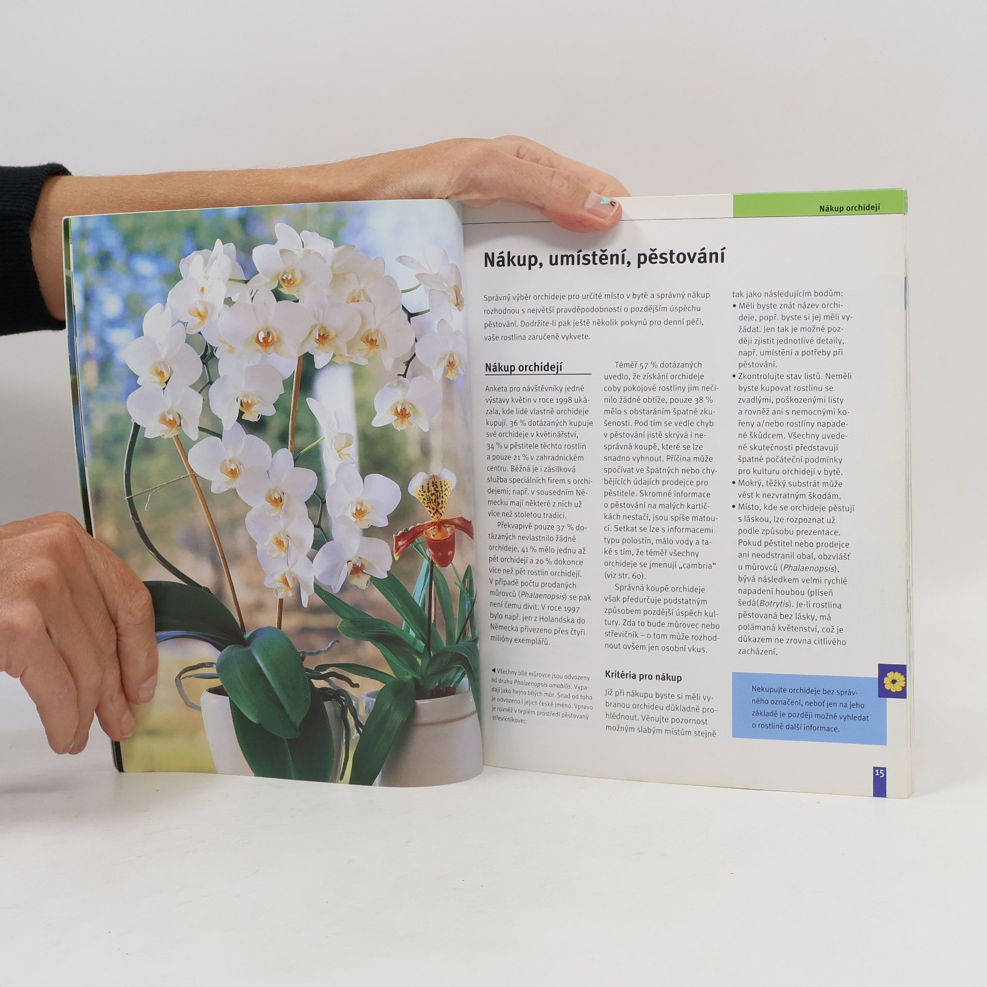 Jörn Pinske Orchideje