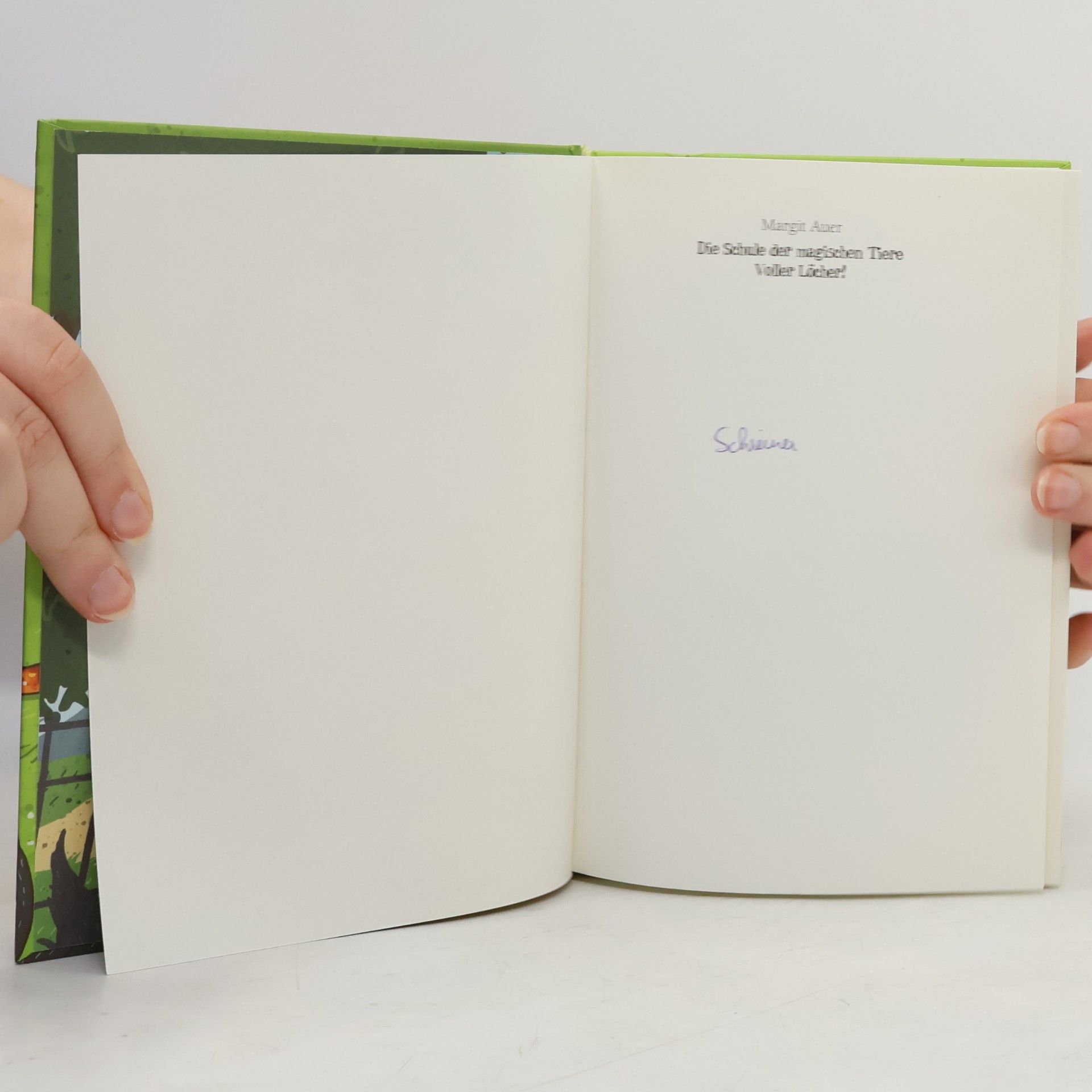 Margit Auer Die Schule der magischen Tiere 2
