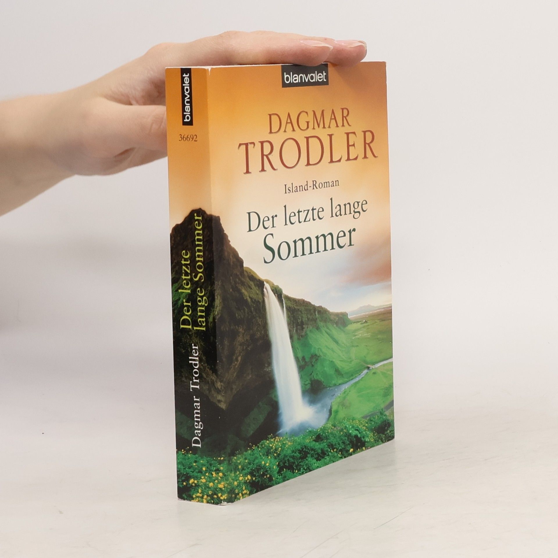 Dagmar Trodler Der letzte lange Sommer