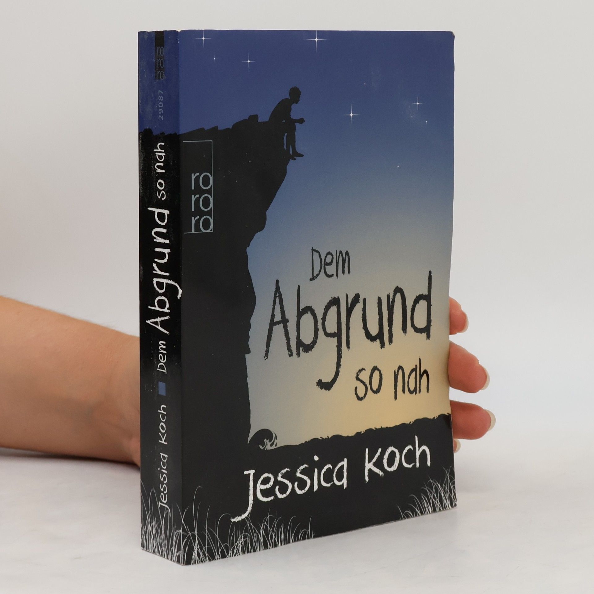 Jessica Koch Dem Abgrund so nah