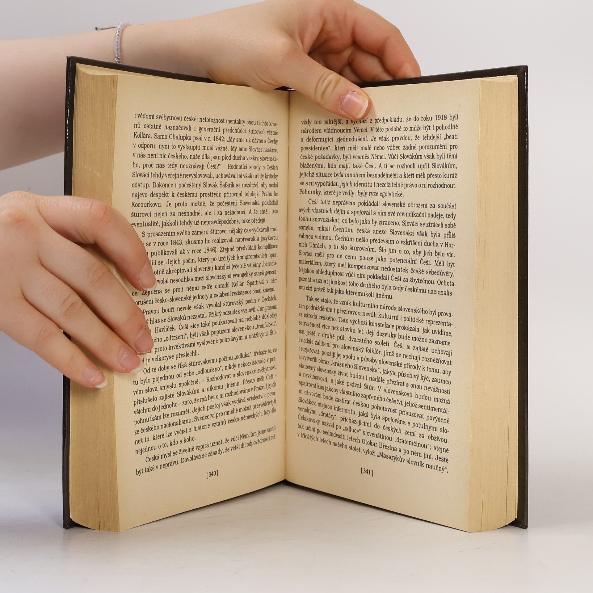 Autorenkollektiv Češi v dějinách nové doby : pokus o zrcadlo