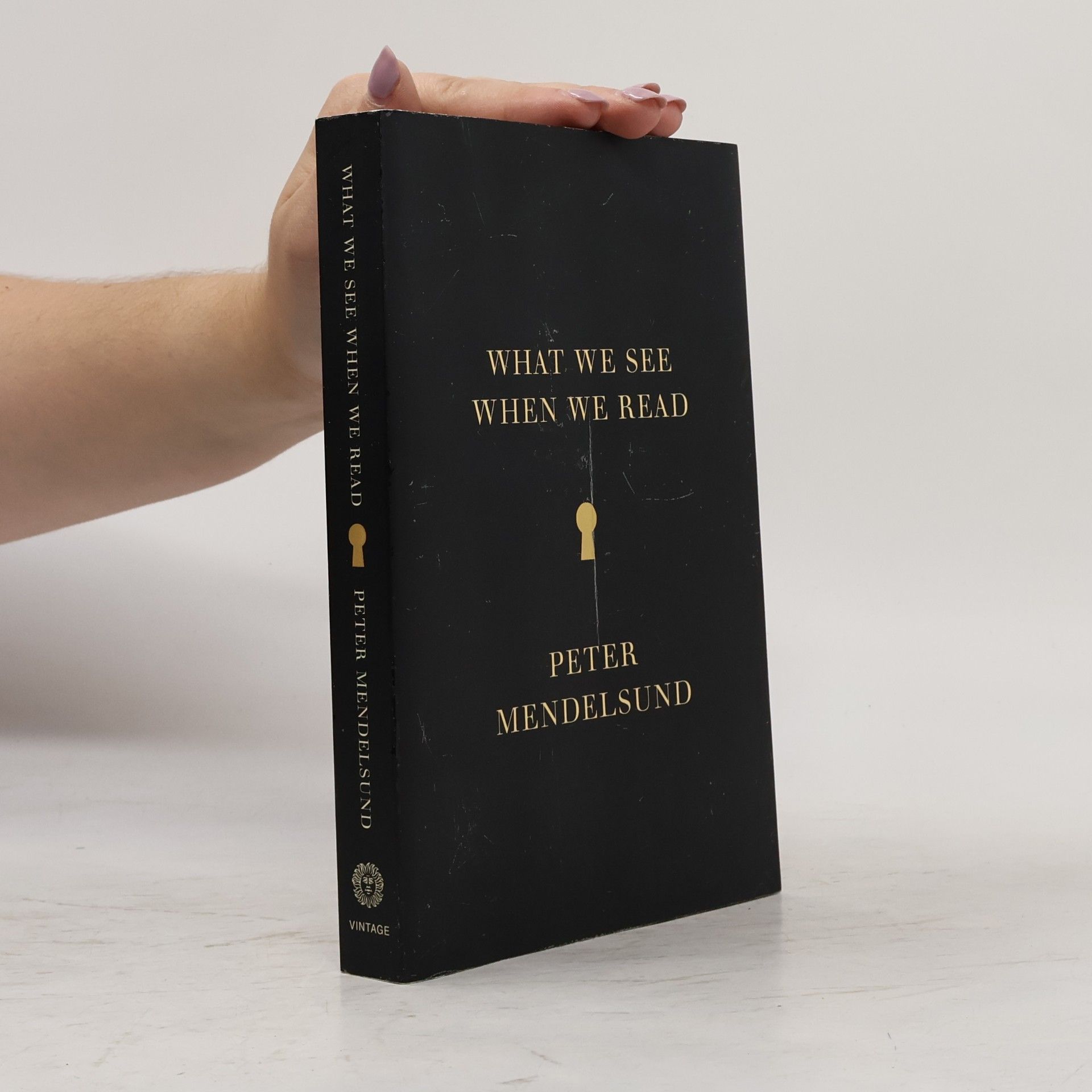 Peter Mendelsund What We See when We Read