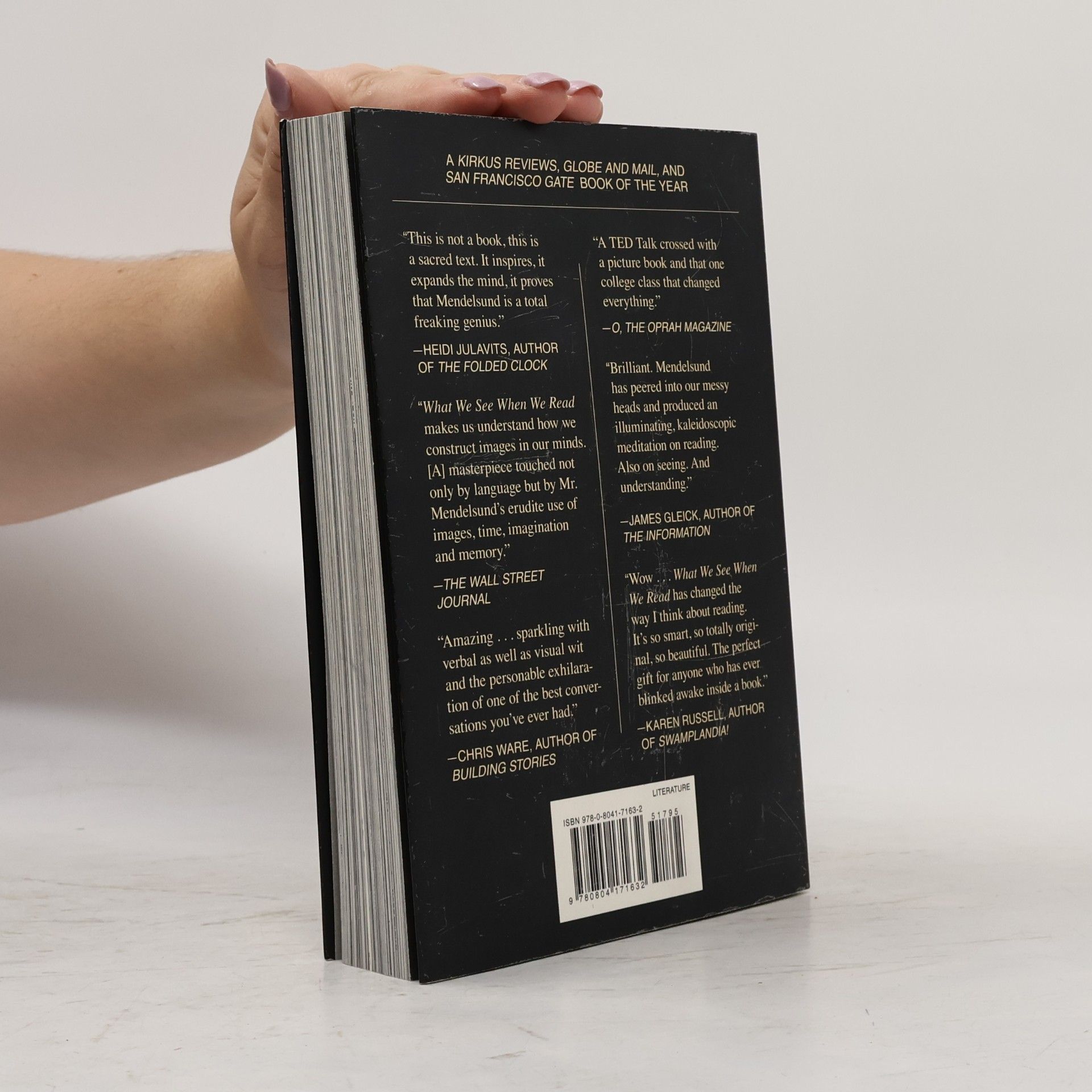 Peter Mendelsund What We See when We Read