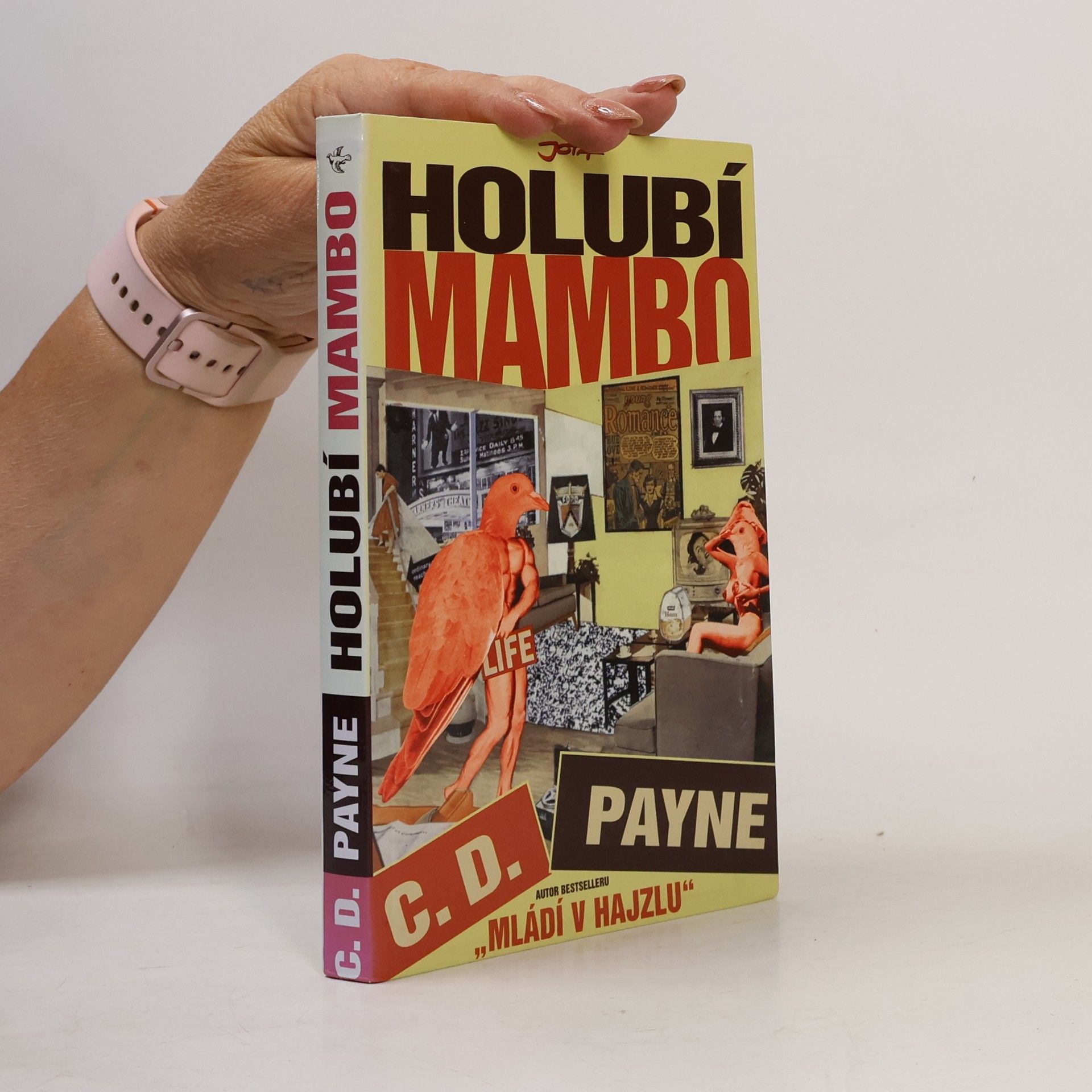 Tamara Váňová Holubí mambo