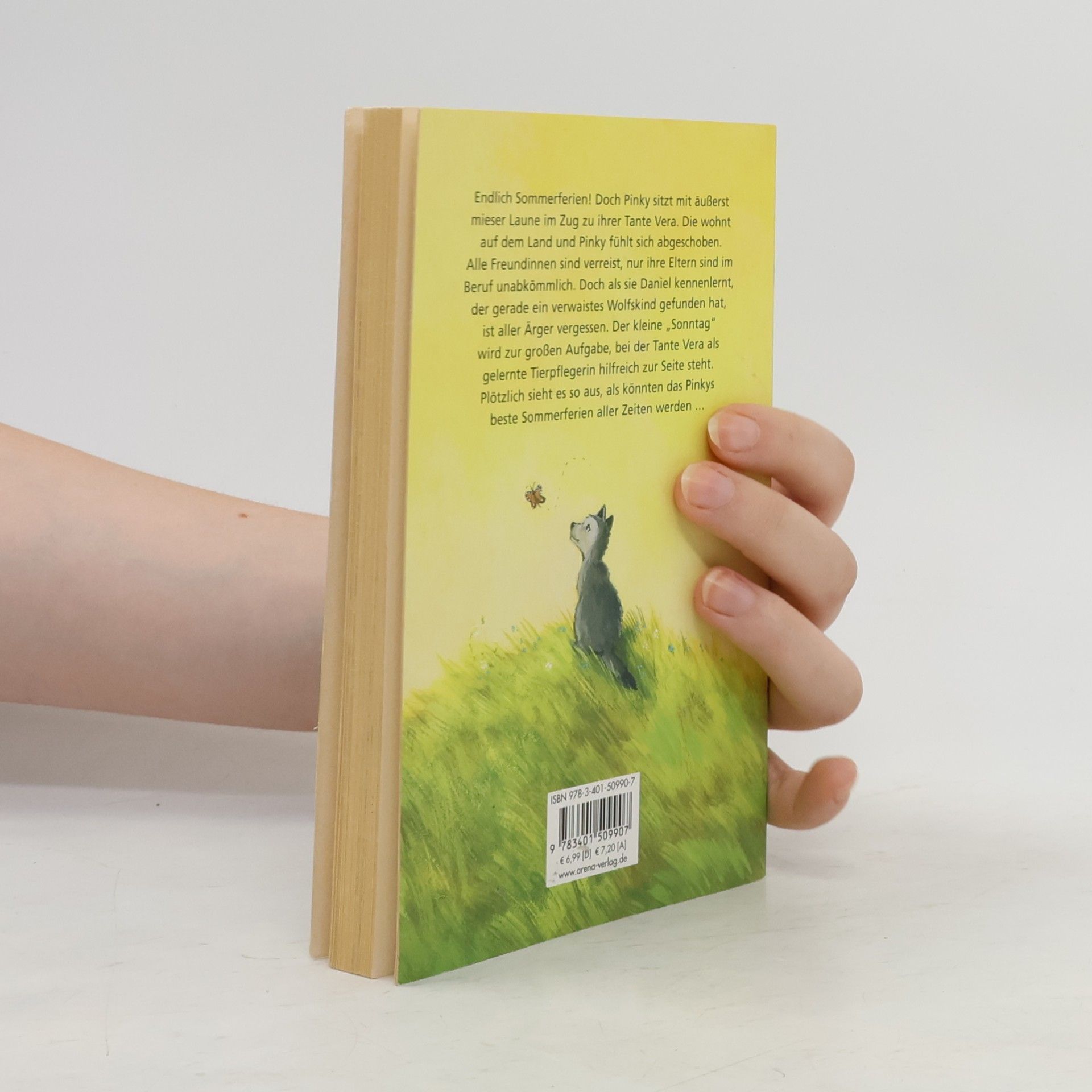 Isabel Abedi Der kleine Wolf und ein unvergesslicher Sommer