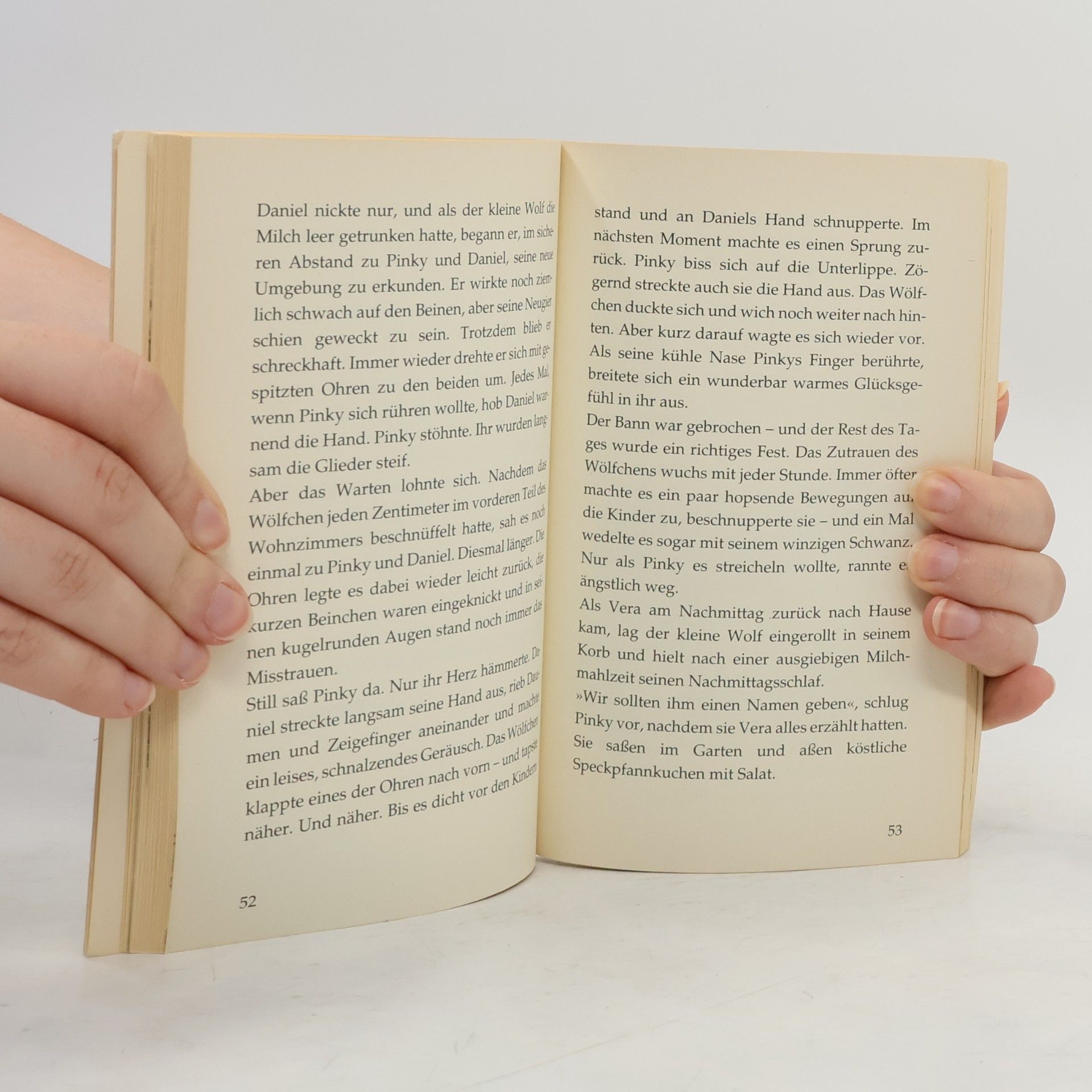 Isabel Abedi Der kleine Wolf und ein unvergesslicher Sommer