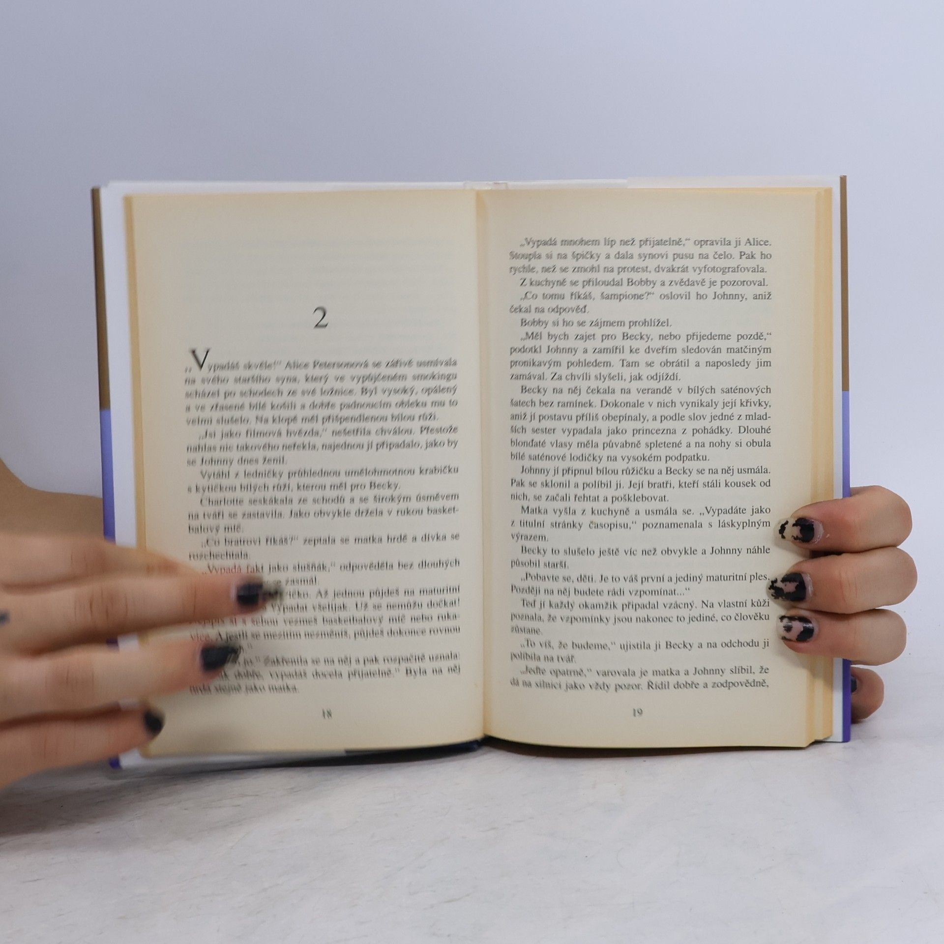 Danielle Steel Strážný anděl