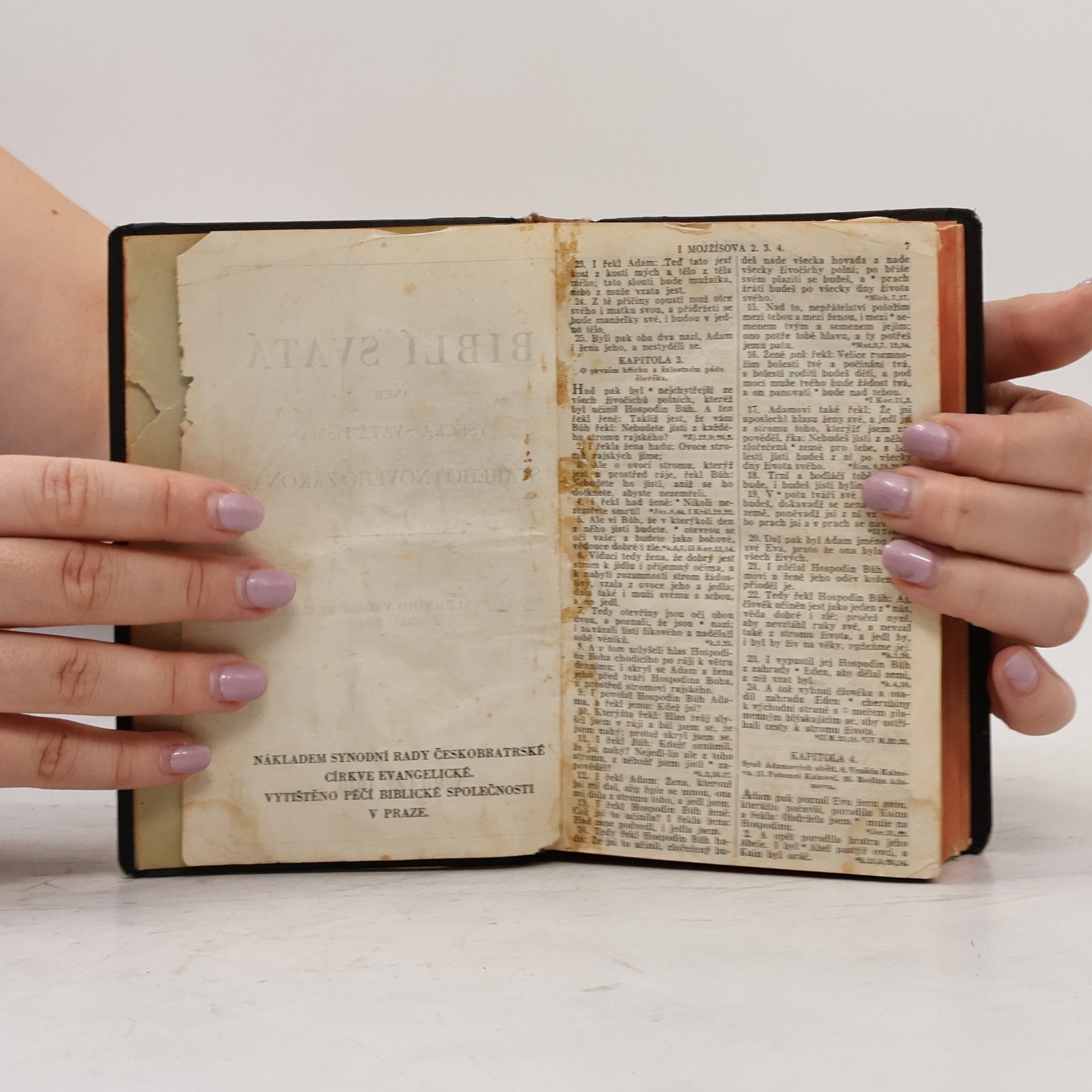 Various authors Biblí svatá aneb Všecka svatá písma Starého i Nového Zákona.