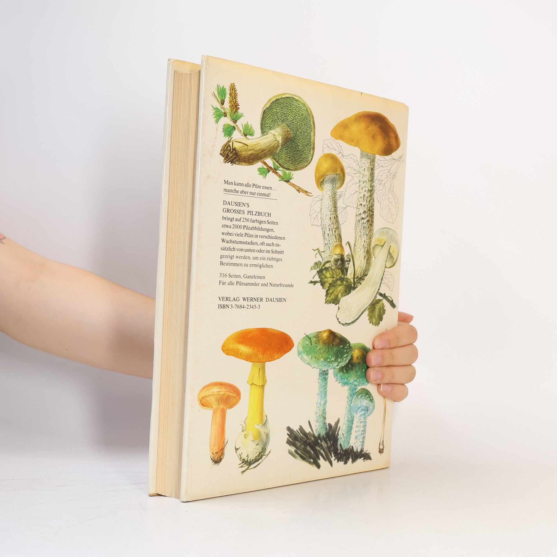 Mirko Svrček Dausien's grosses Pilzbuch in Farbe