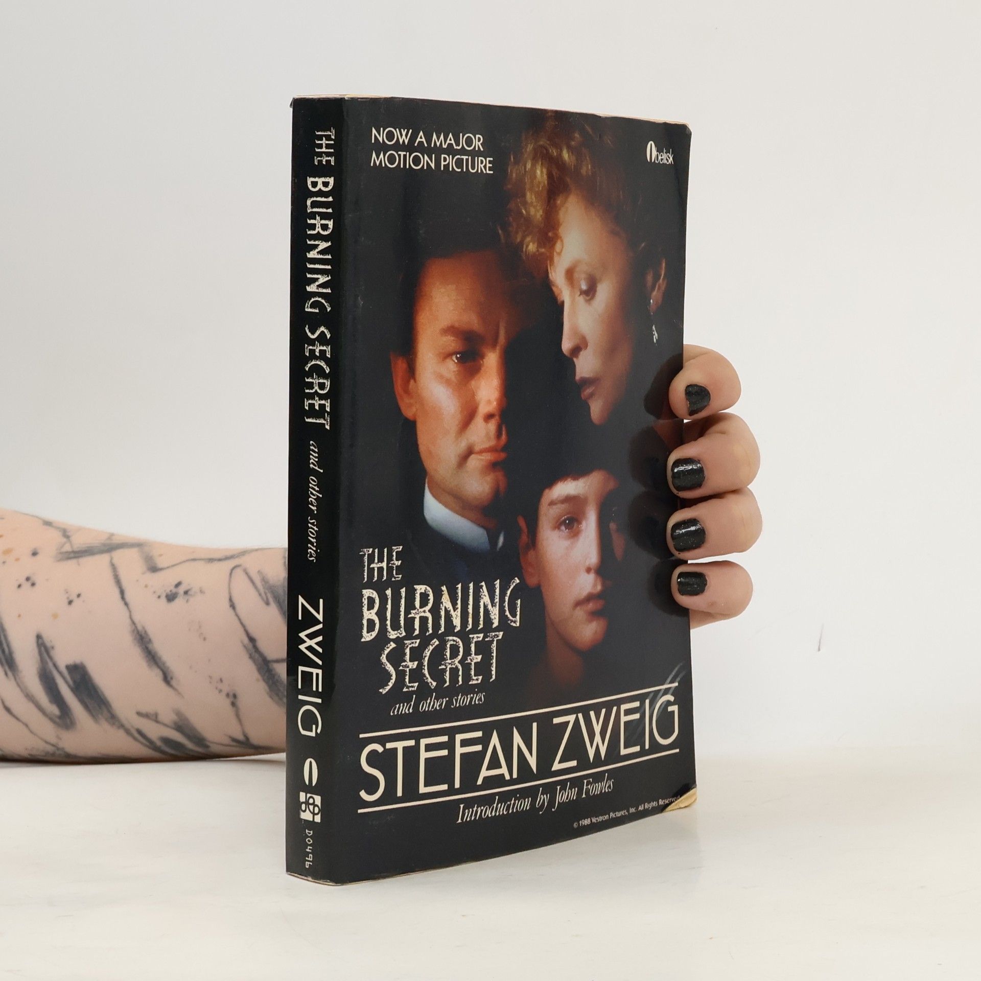 Jill Sutcliffe The Burning Secret and Other Stories