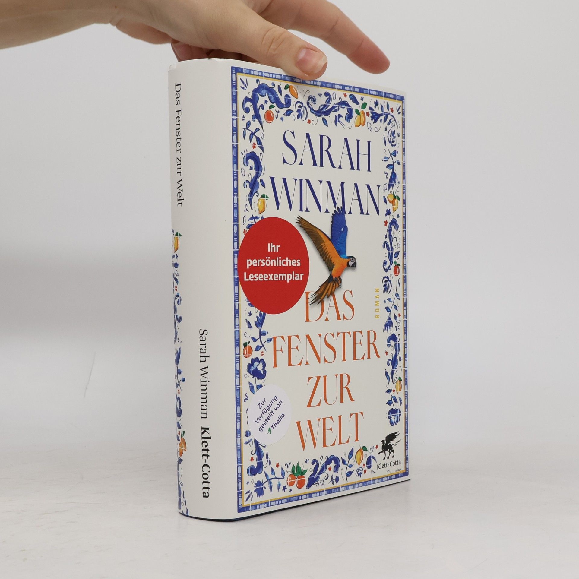 Sarah Winman Das Fenster zur Welt