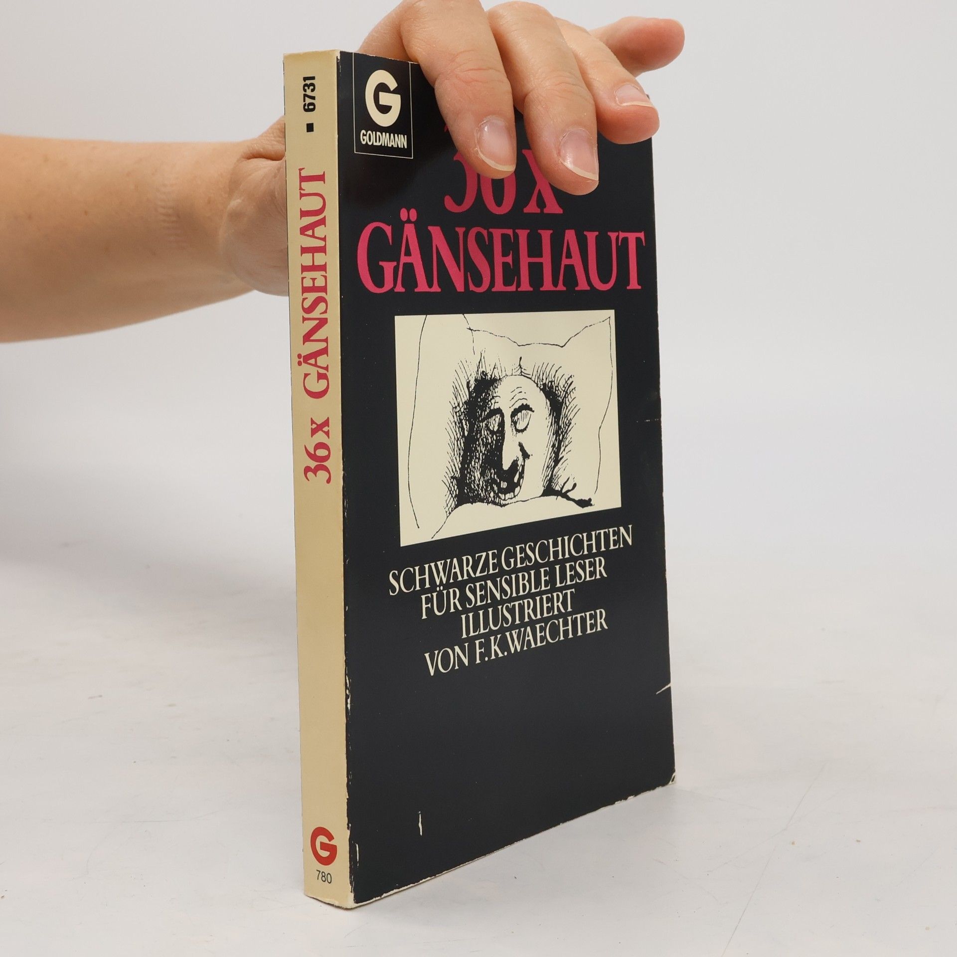 Autorenkollektiv 36x Gänsehaut