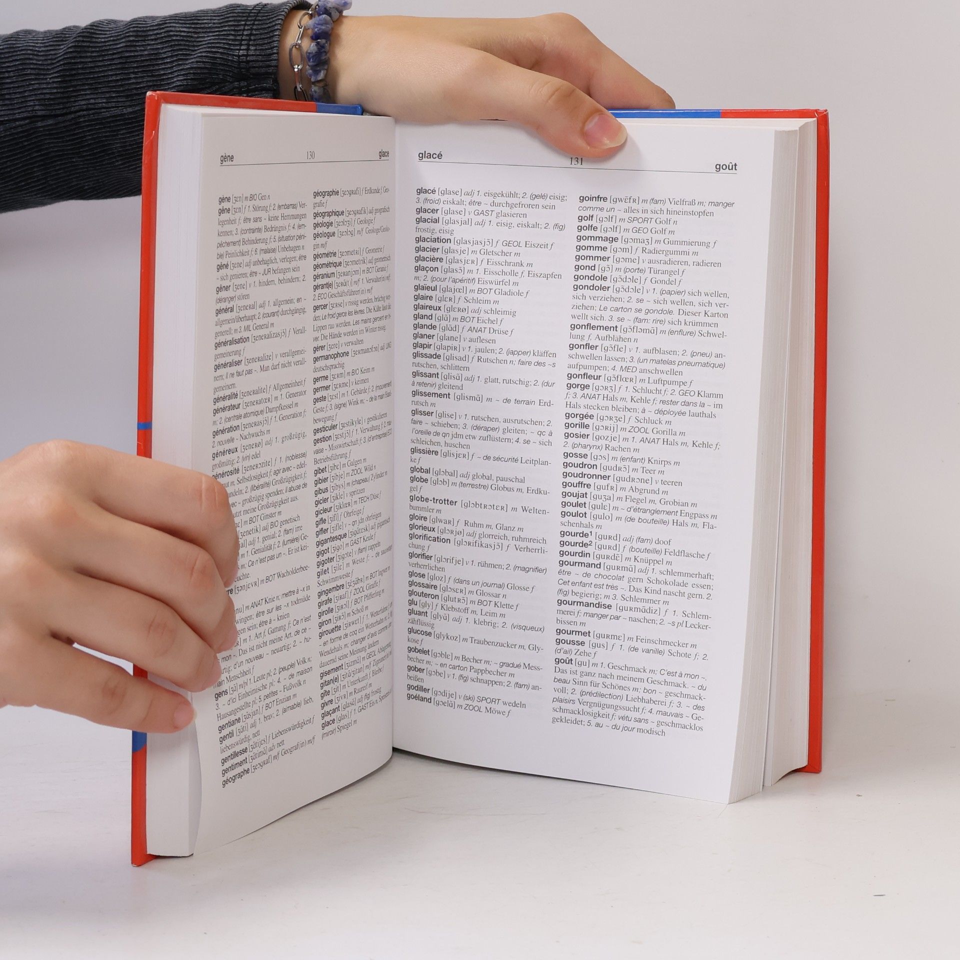 Ilse Hell Neues grosses Wörterbuch Business Französisch