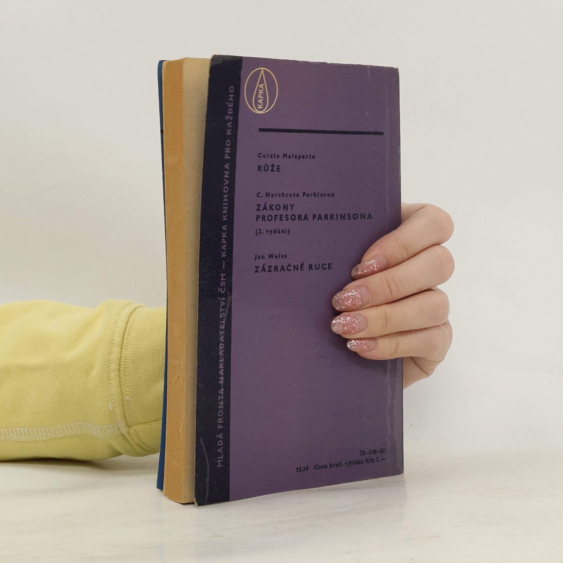 Raymond Chandler Dáma v jezeře