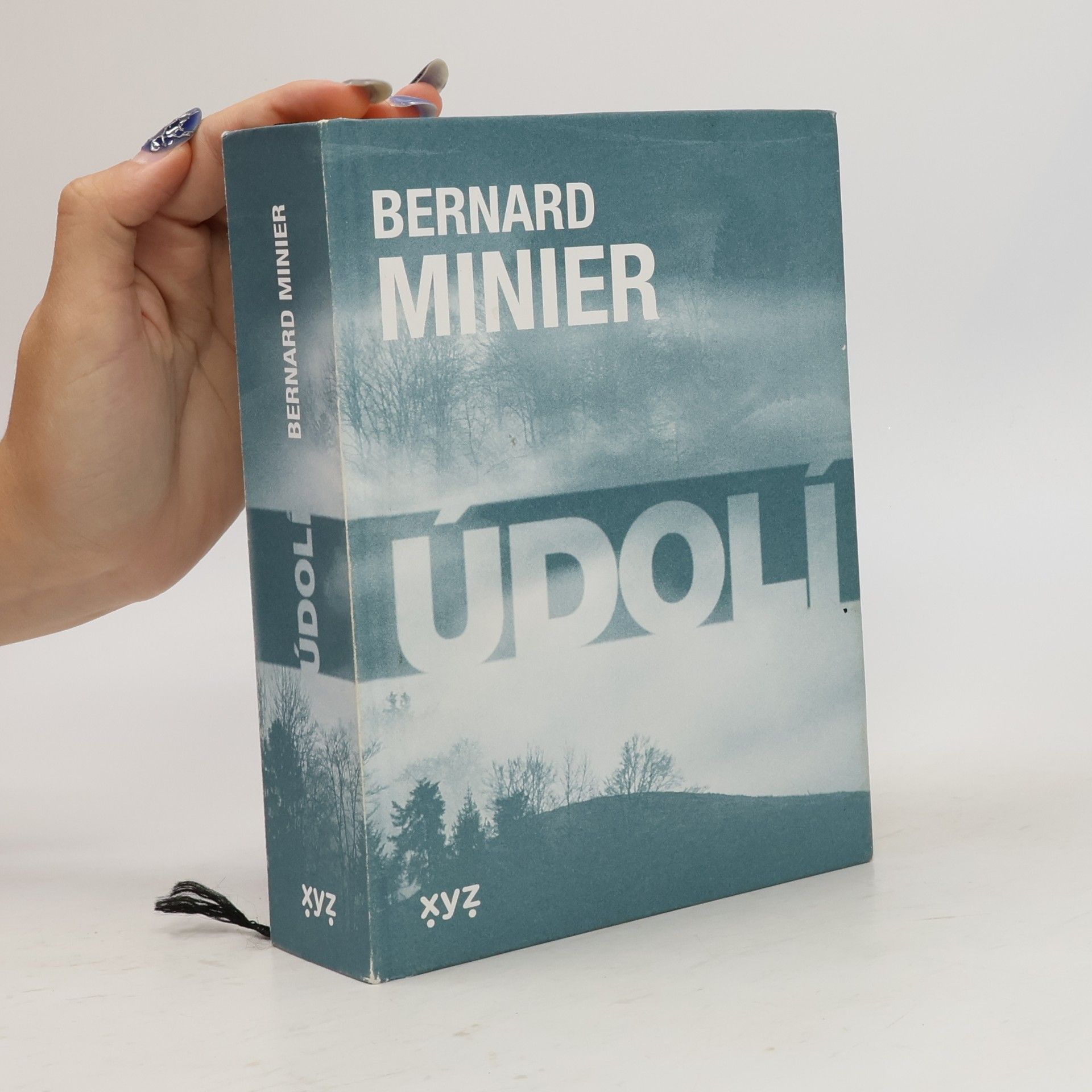 Bernard Minier Údolí