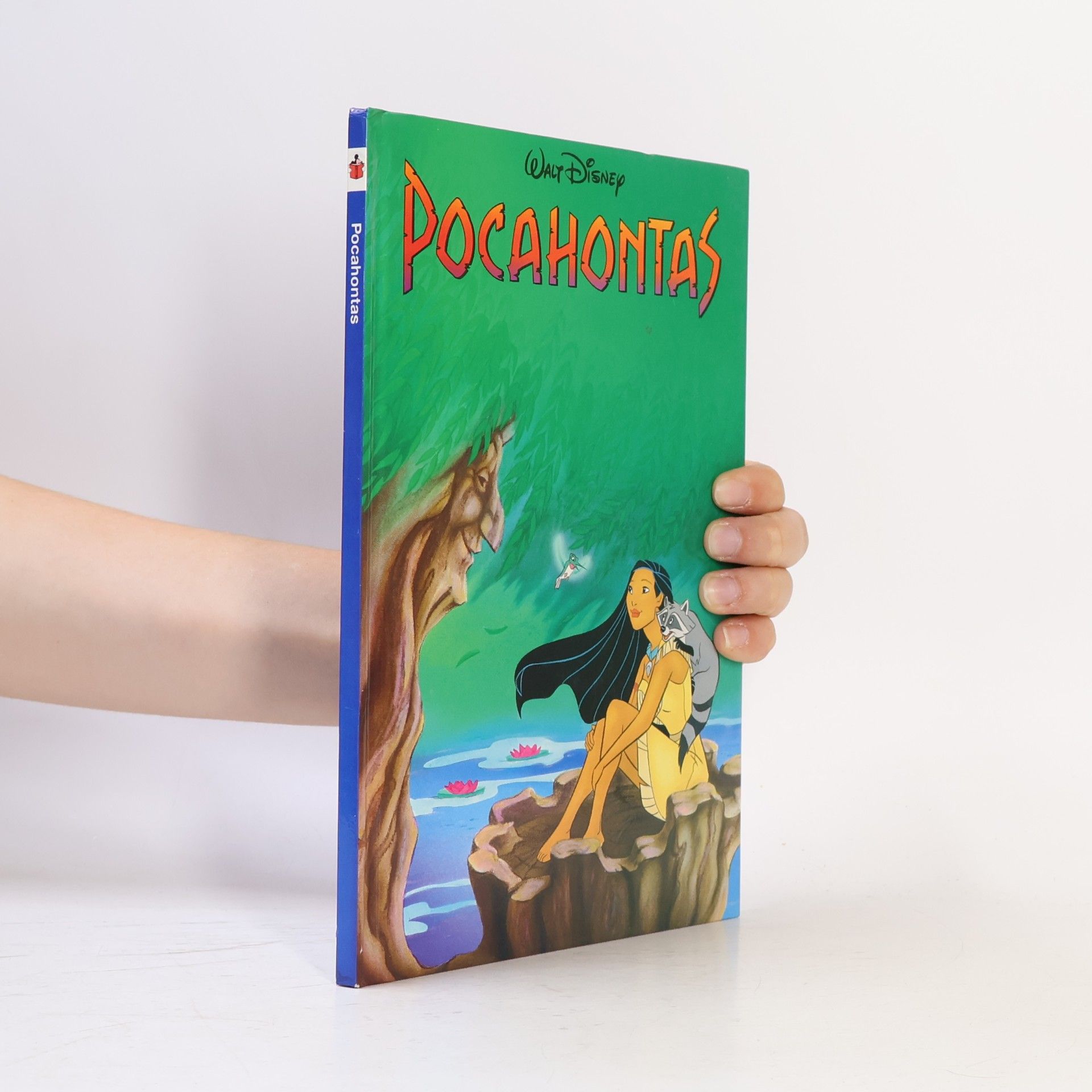 Walt Disney Pocahontas