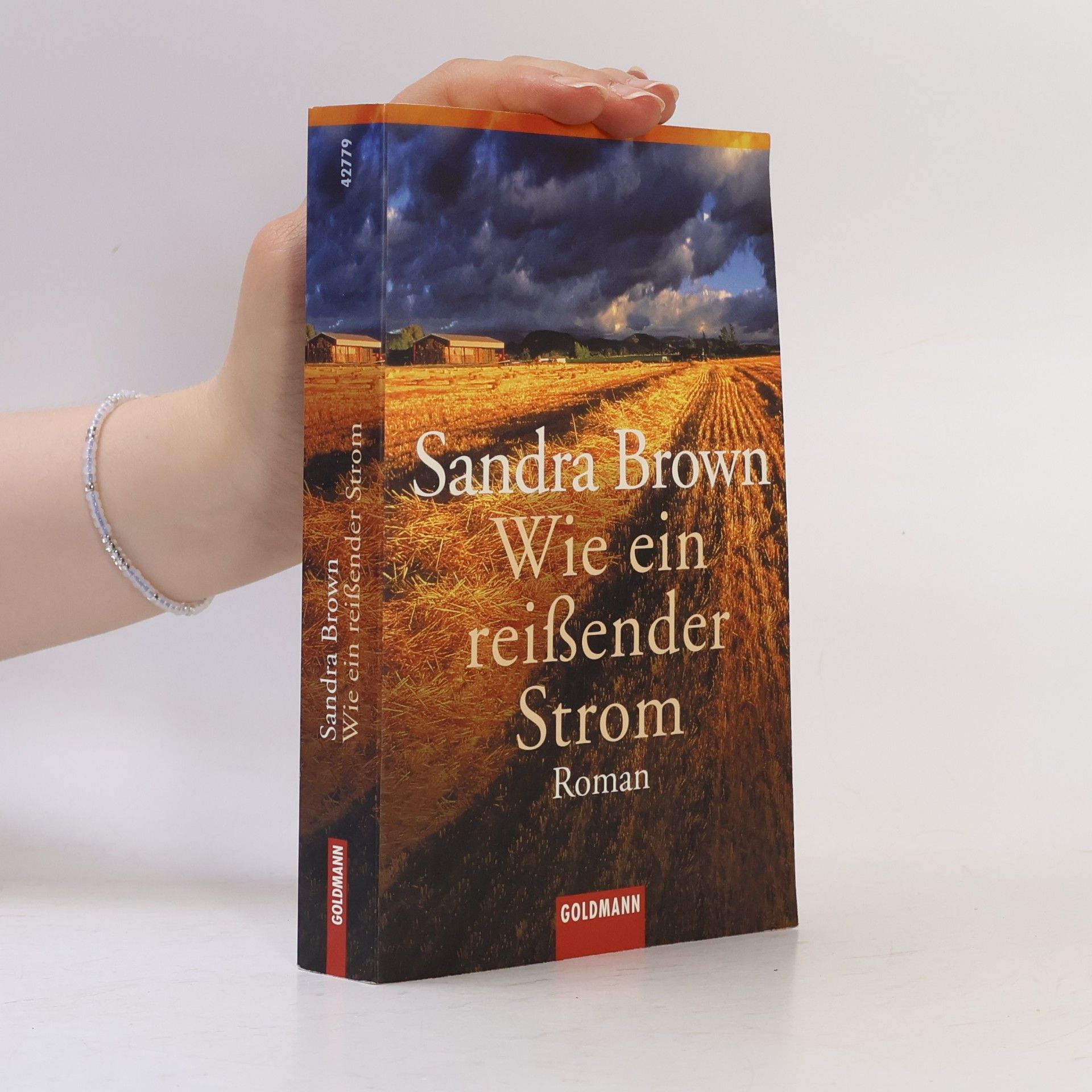 Sandra Brown Wie ein reißender Strom