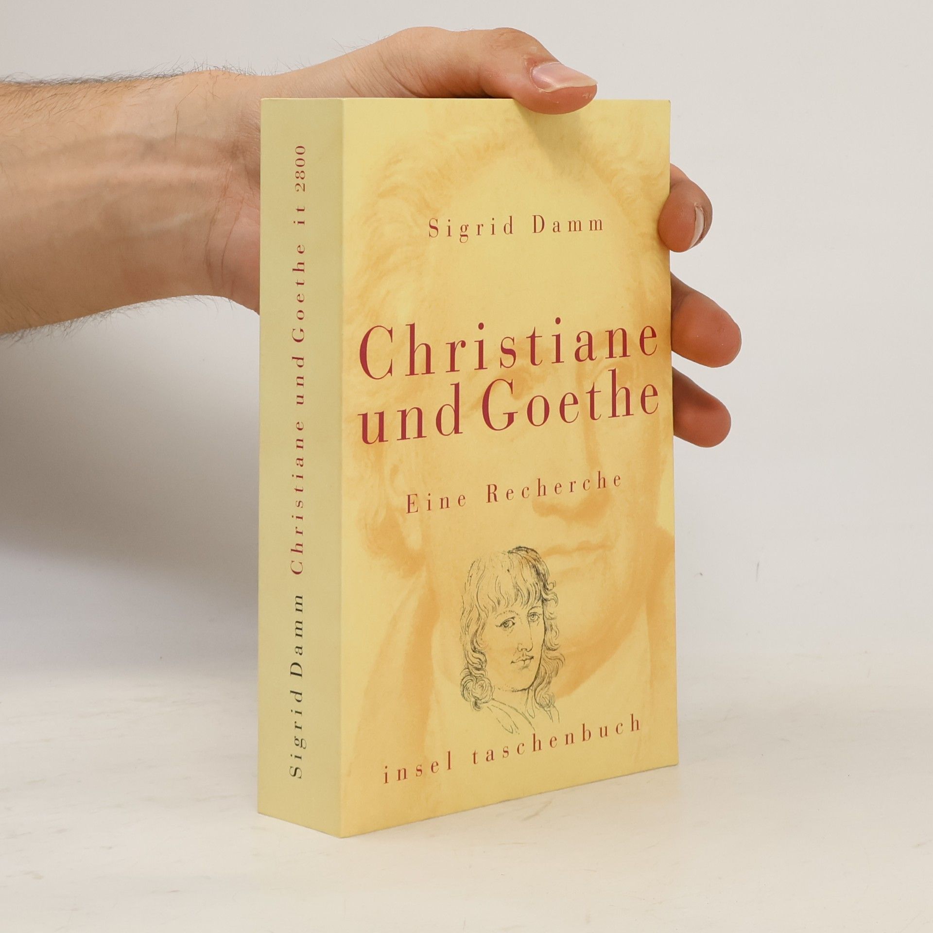 Sigrid Damm Christiane und Goethe