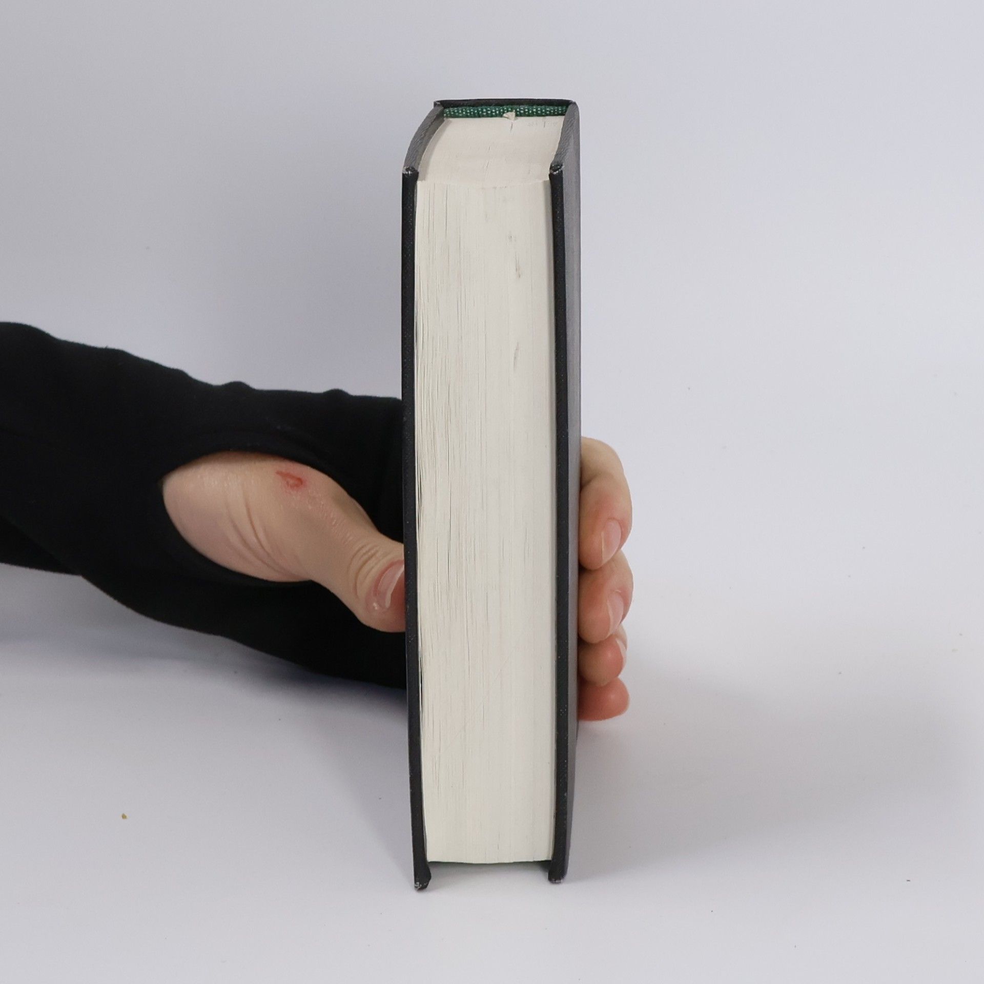 Various authors Zdrawý Pramen, Preysstjcý se k žiwotu wečnému (reprint)
