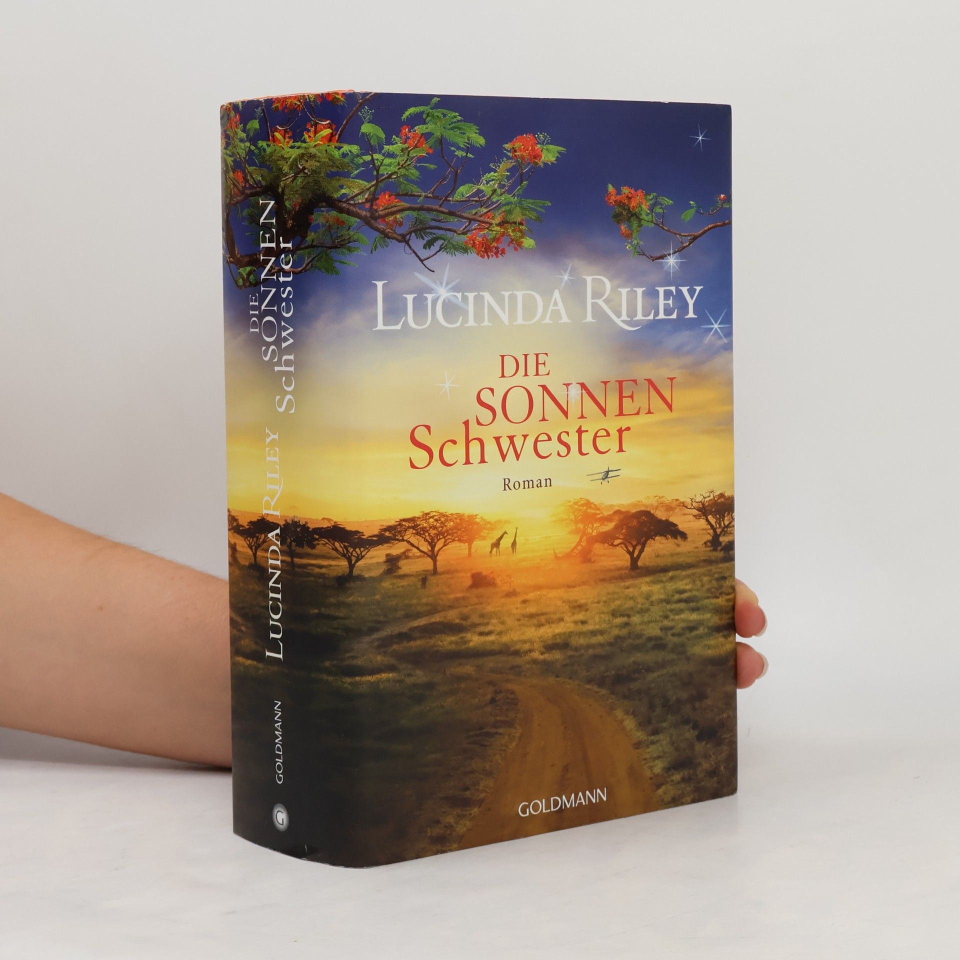 Lucinda Riley Die Sonnenschwester