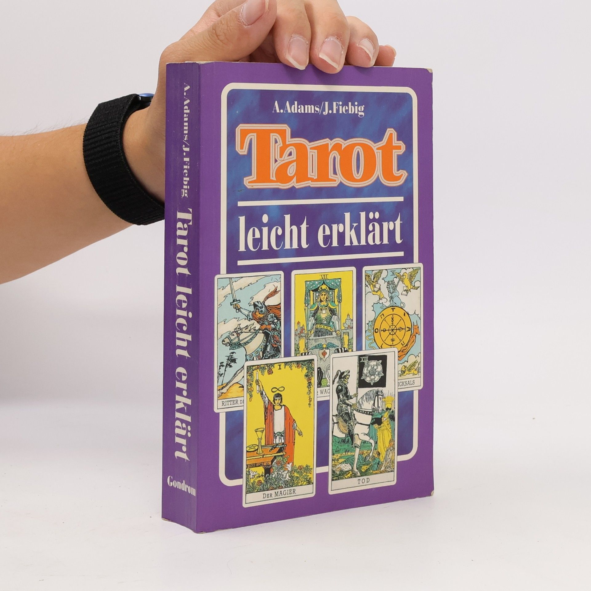Johannes Fiebig Tarot leicht erklärt