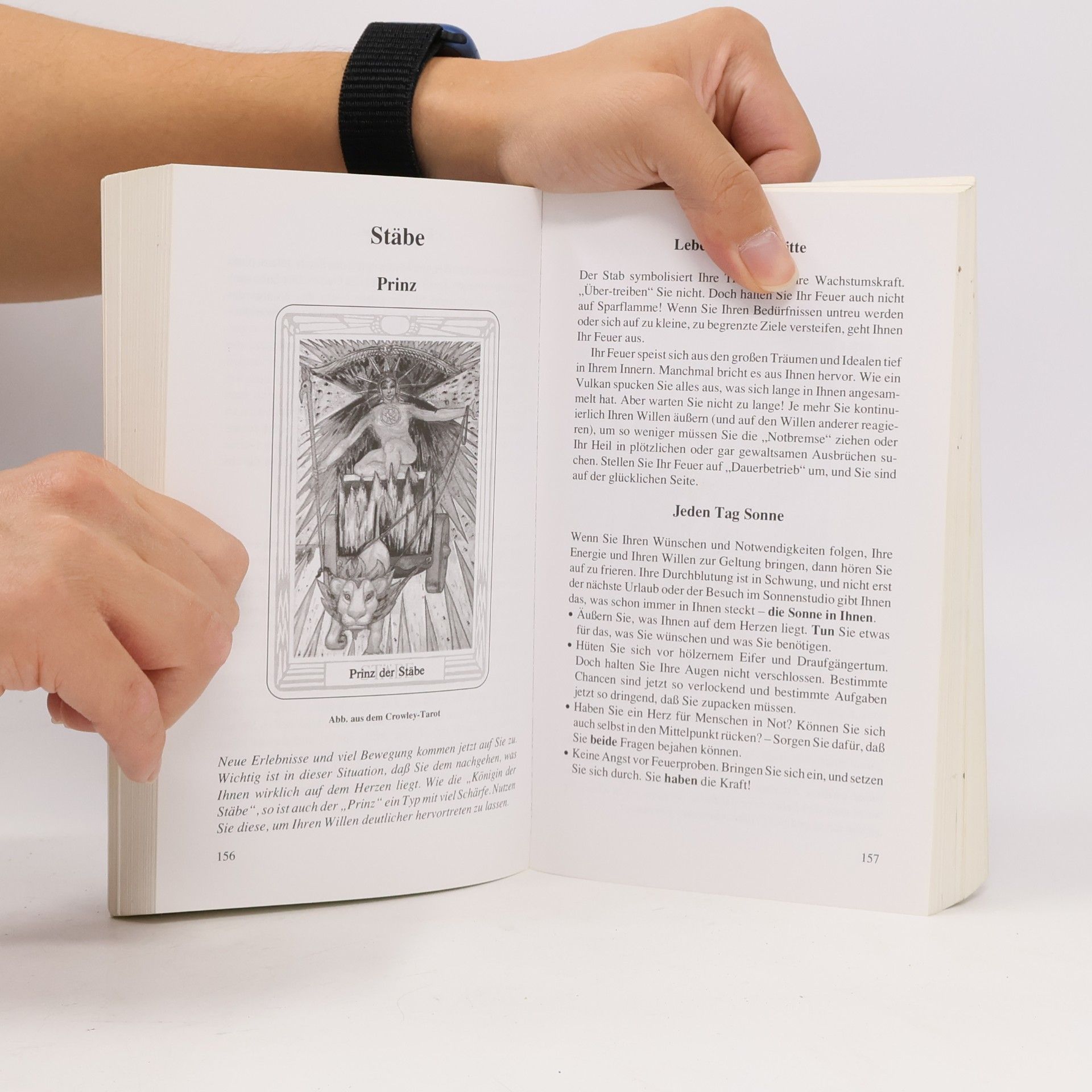 Johannes Fiebig Tarot leicht erklärt