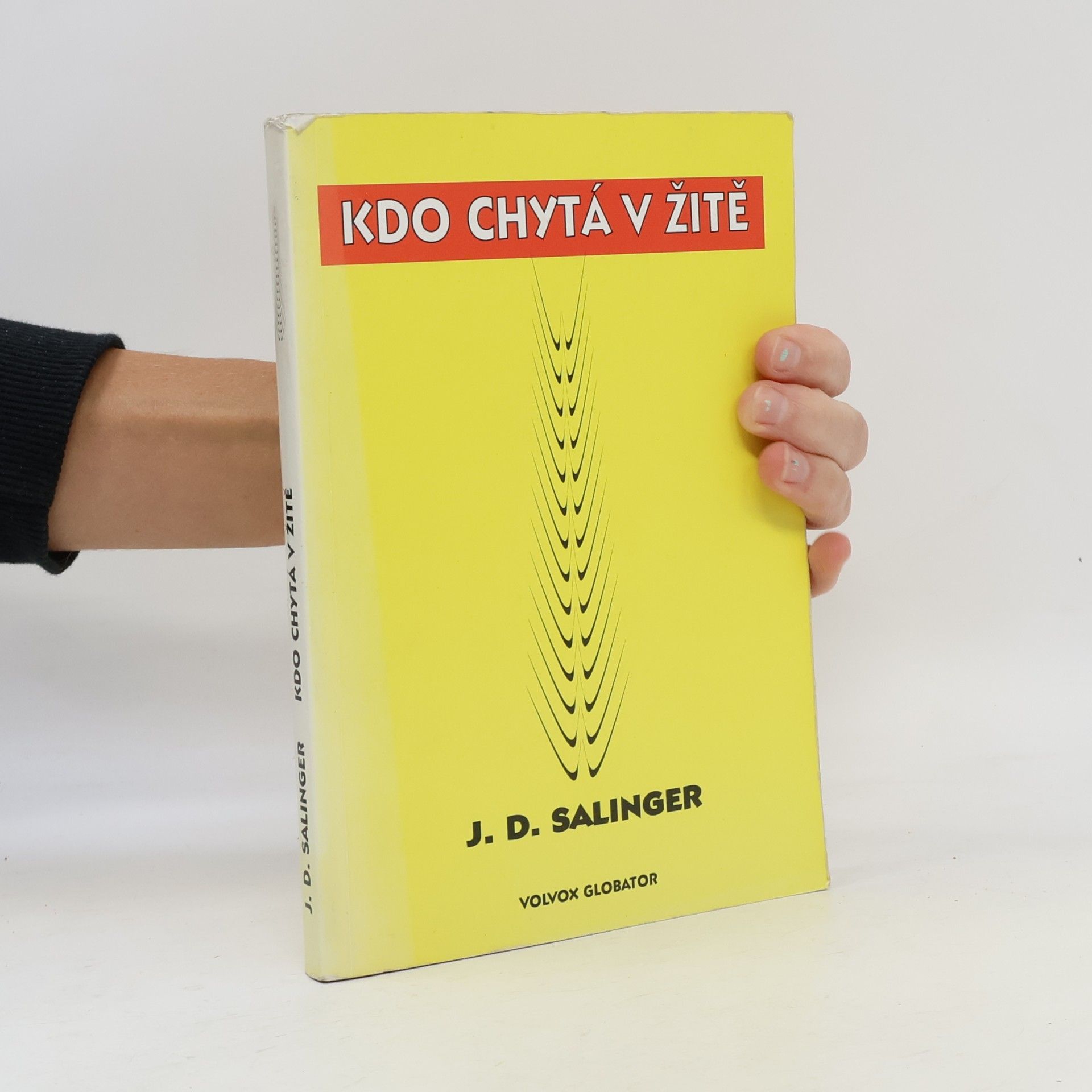 Jerome David Salinger Kdo chytá v žitě